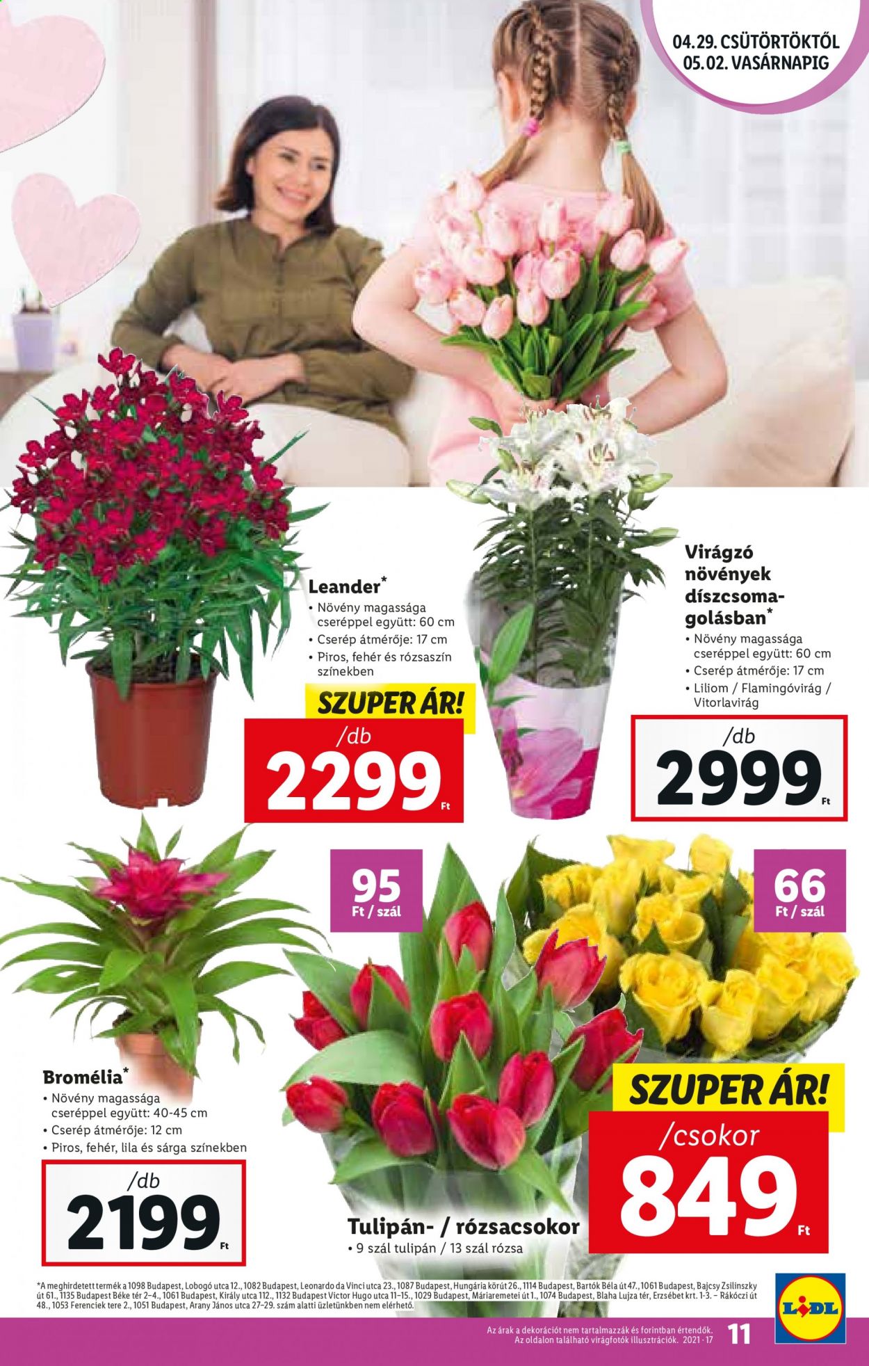 Lidl akciós újságok - 2021.04.29 - 2021.05.05. Oldal 11