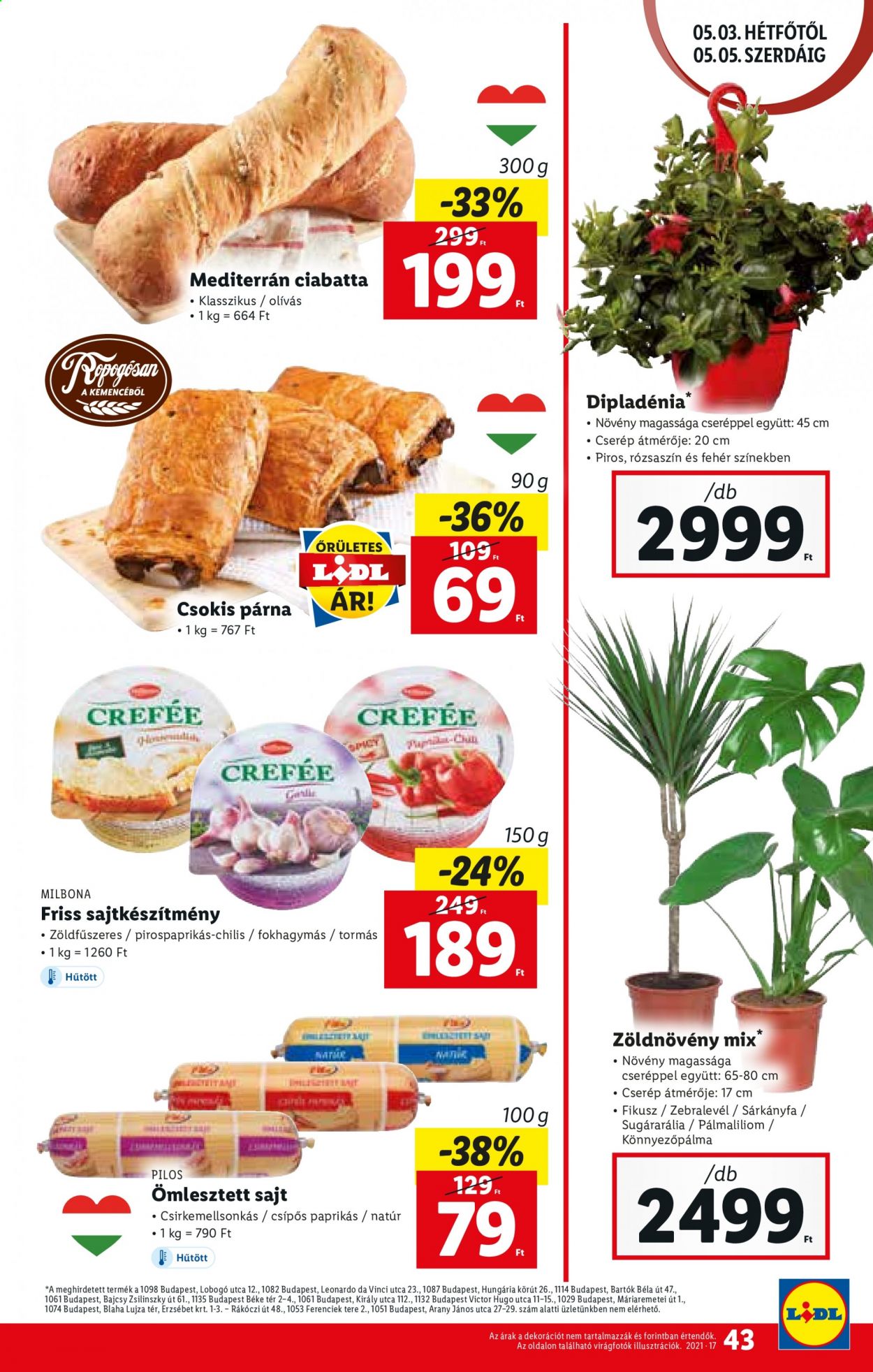 Lidl akciós újságok - 2021.04.29 - 2021.05.05. Oldal 43