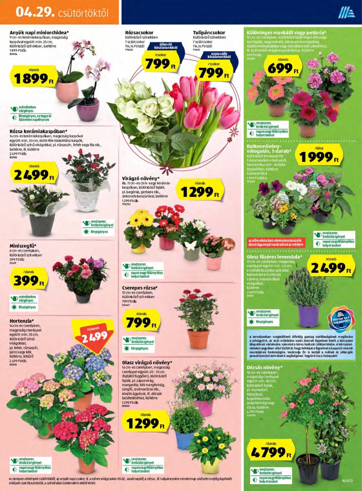 Aldi akciós újságok - 2021.04.29 - 2021.05.05. Oldal 7