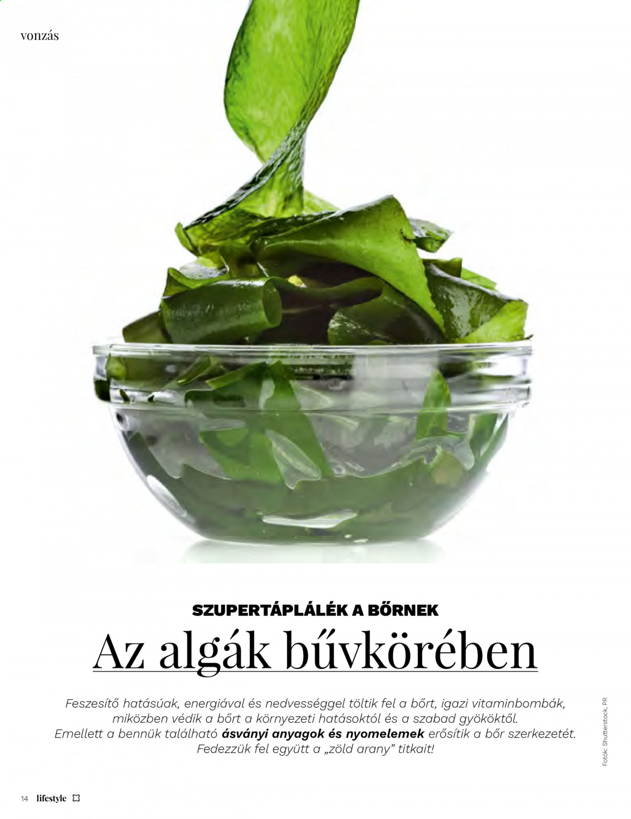 Müller akciós újságok. Oldal 14