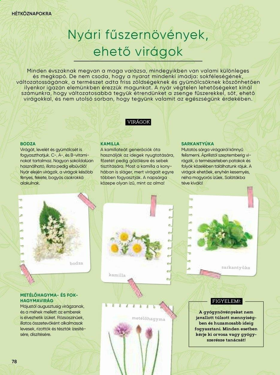 TESCO akciós újságok. Oldal 78