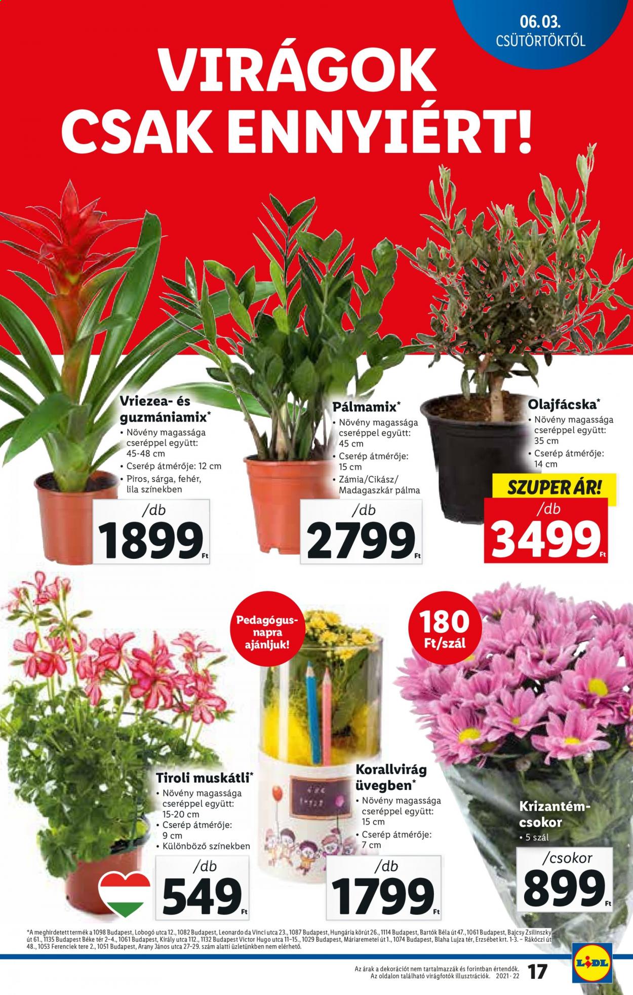 Lidl akciós újságok - 2021.06.03 - 2021.06.09. Oldal 17