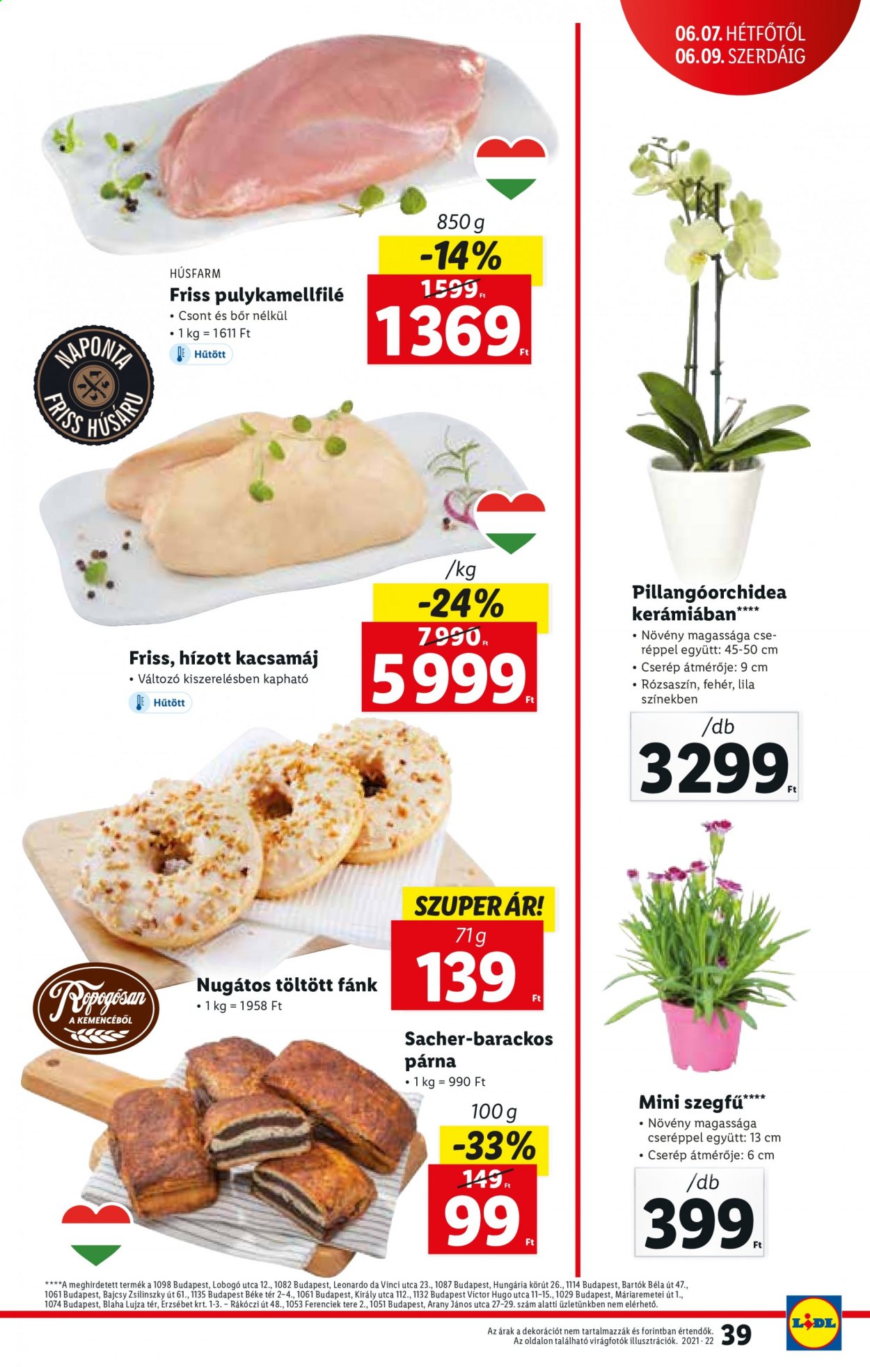 Lidl akciós újságok - 2021.06.03 - 2021.06.09. Oldal 39