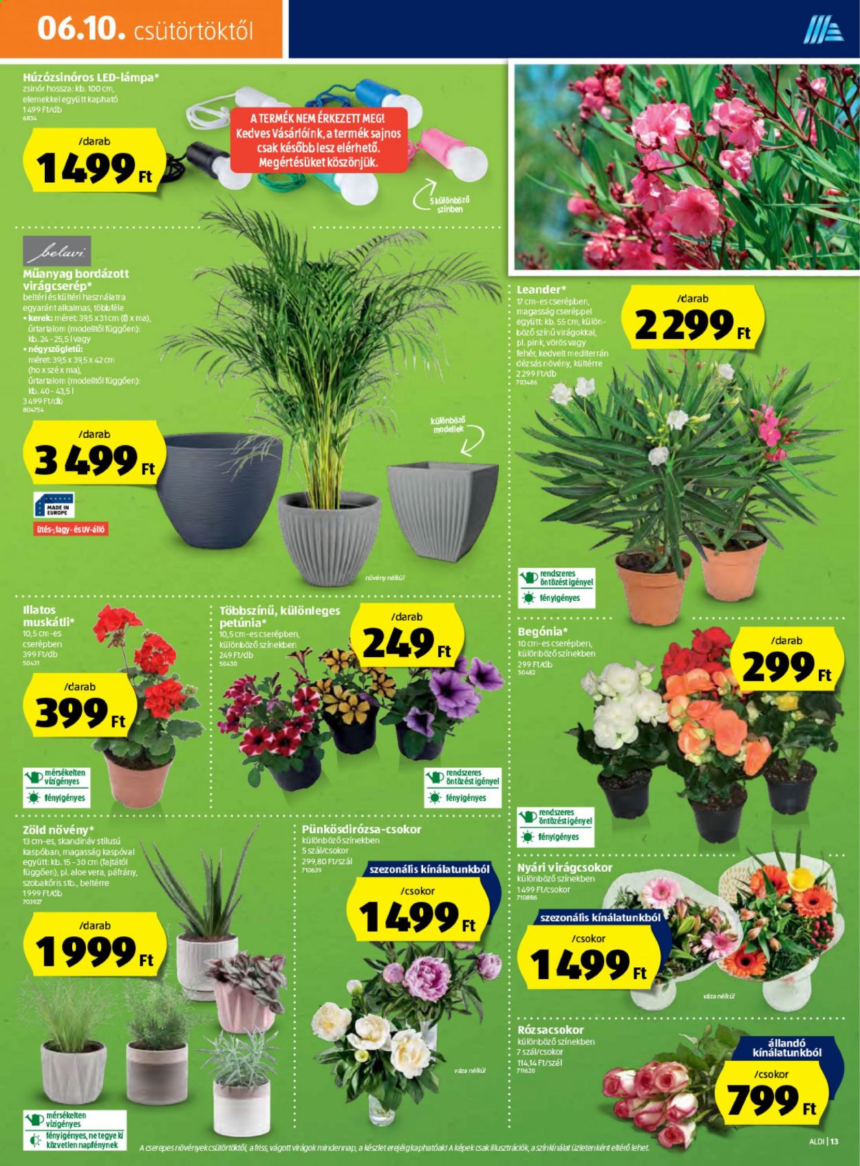 Aldi akciós újságok - 2021.06.10 - 2021.06.16. Oldal 13