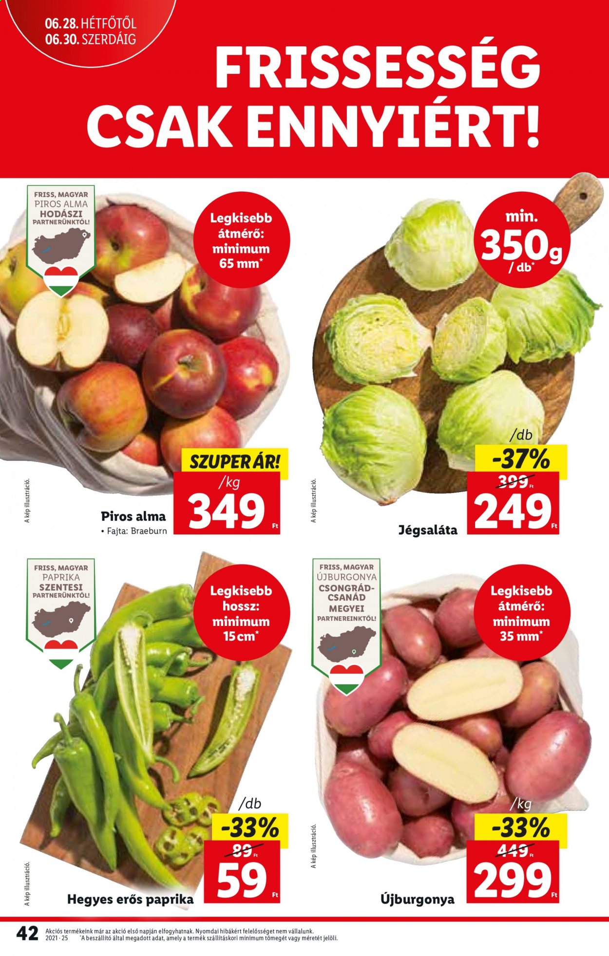 Lidl akciós újságok - 2021.06.24 - 2021.06.30. Oldal 42