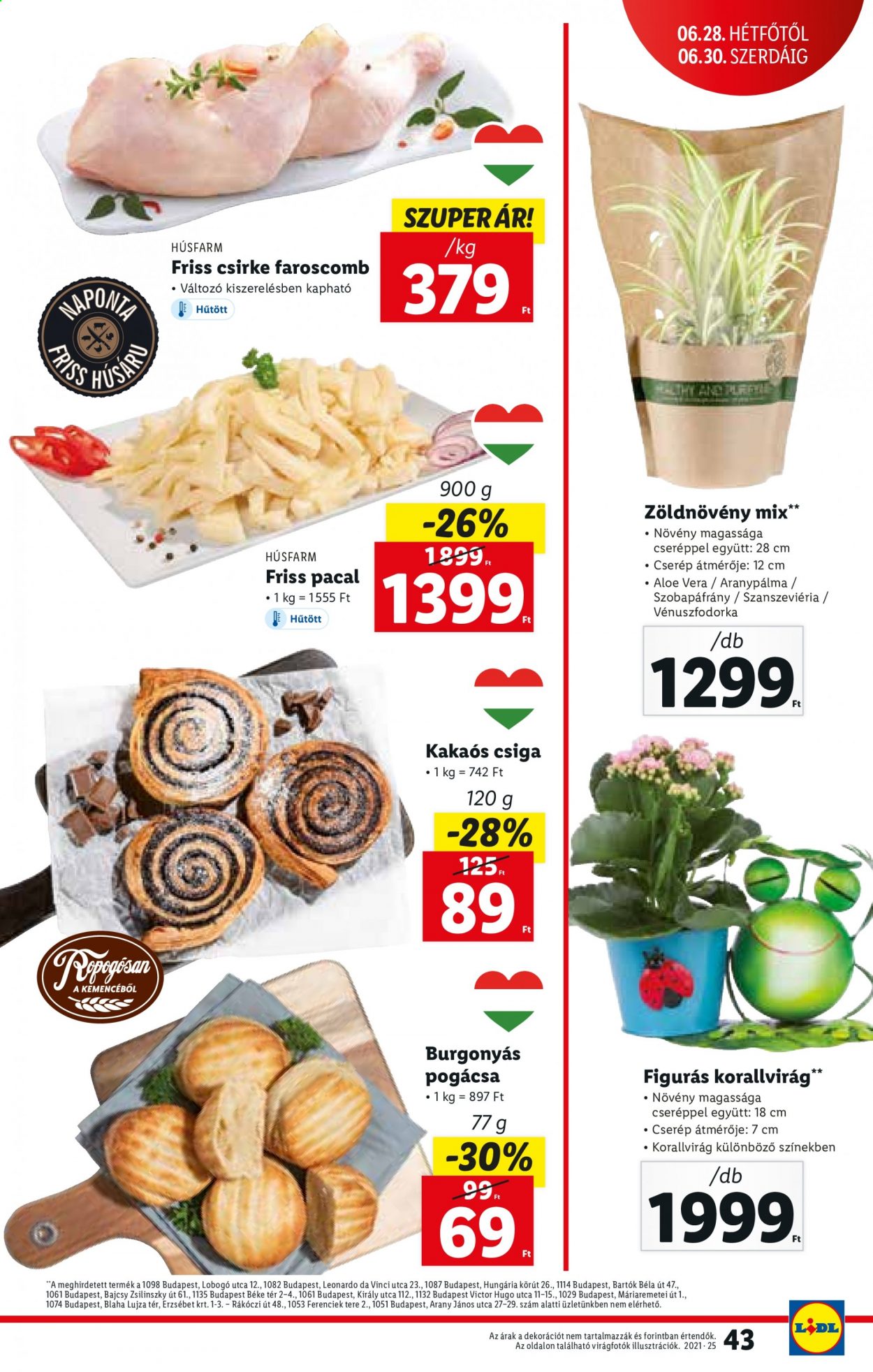 Lidl akciós újságok - 2021.06.24 - 2021.06.30. Oldal 43