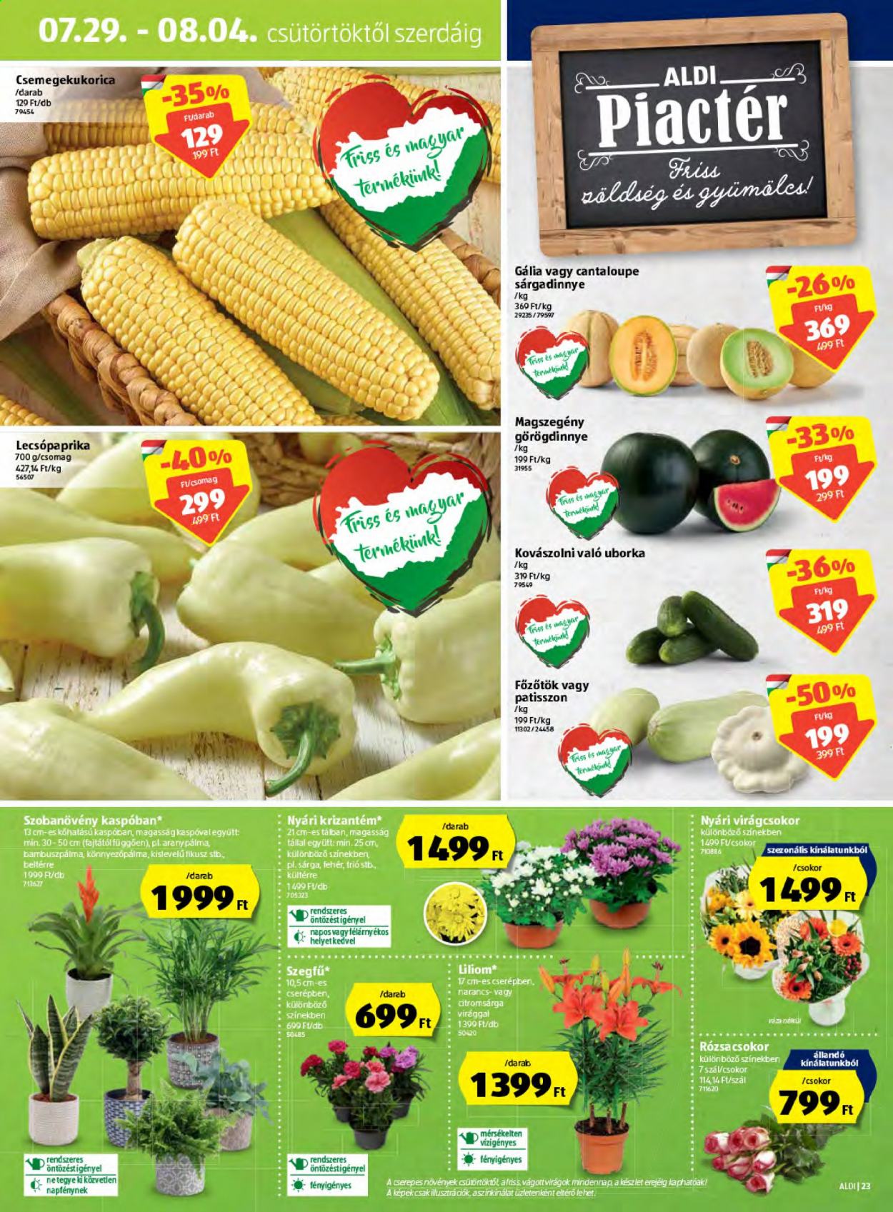 Aldi akciós újságok - 2021.07.29 - 2021.08.04. Oldal 23