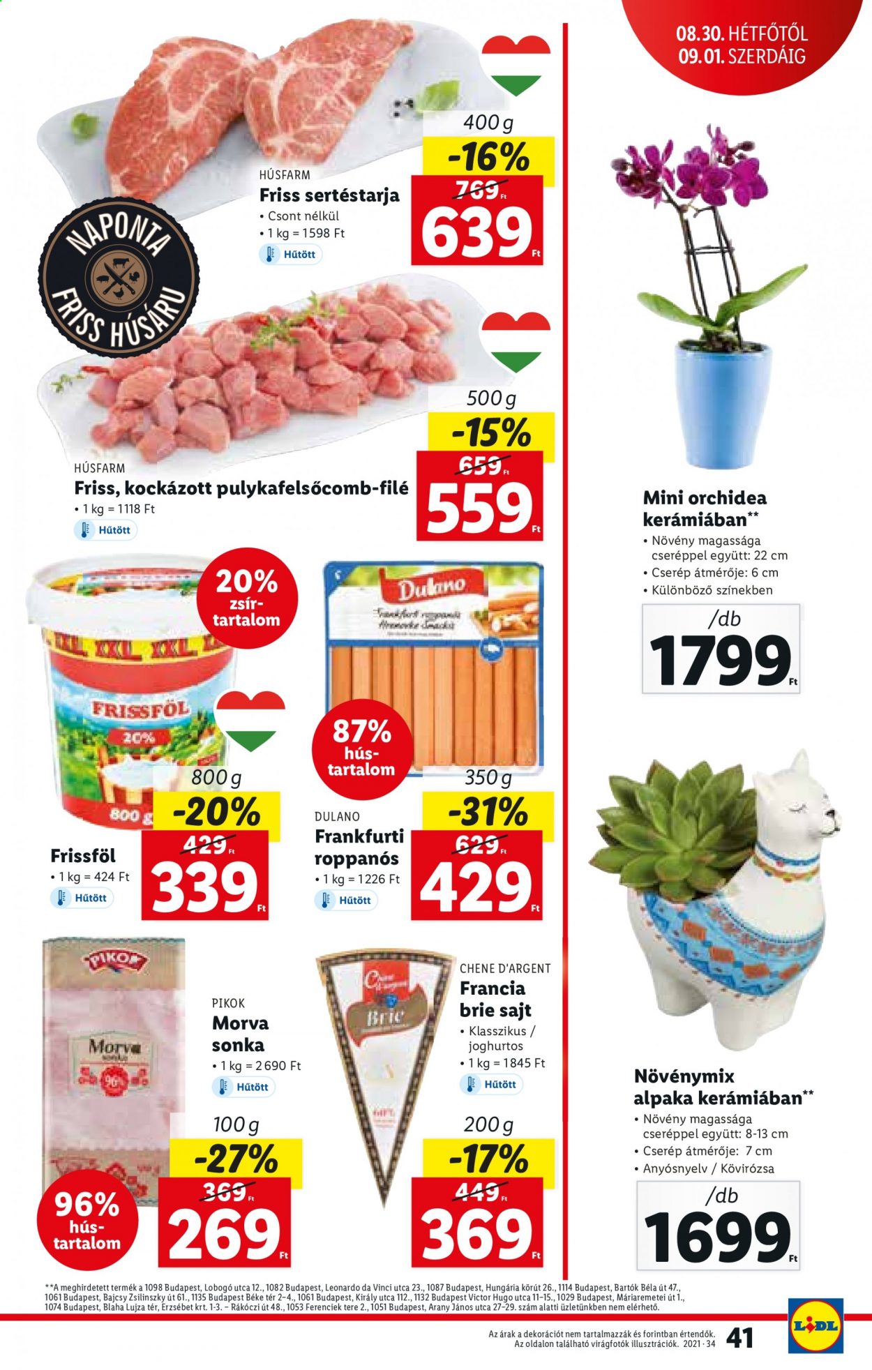 Lidl akciós újságok - 2021.08.26 - 2021.09.01. Oldal 41