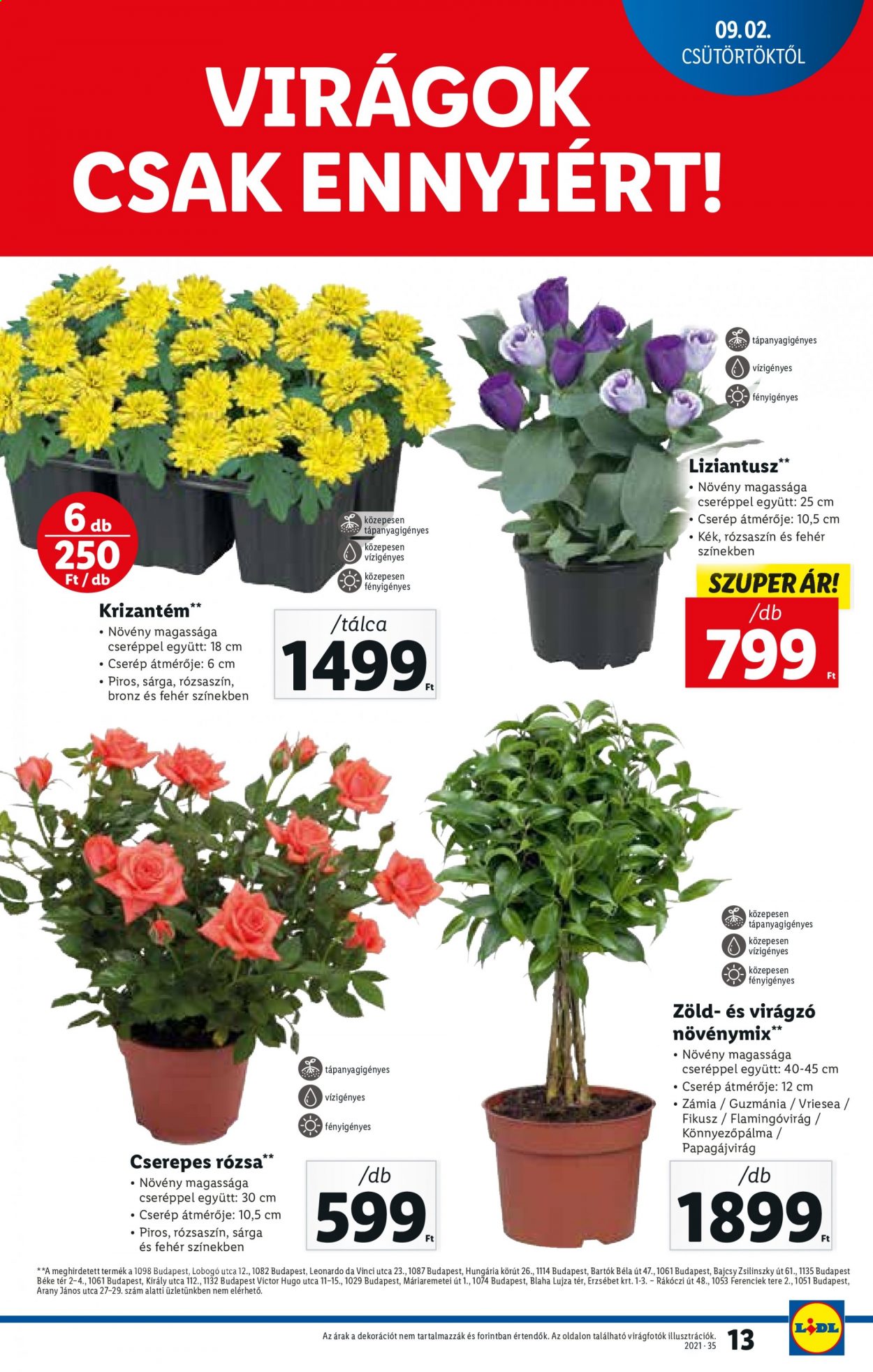 Lidl akciós újságok - 2021.09.02 - 2021.09.08. Oldal 13