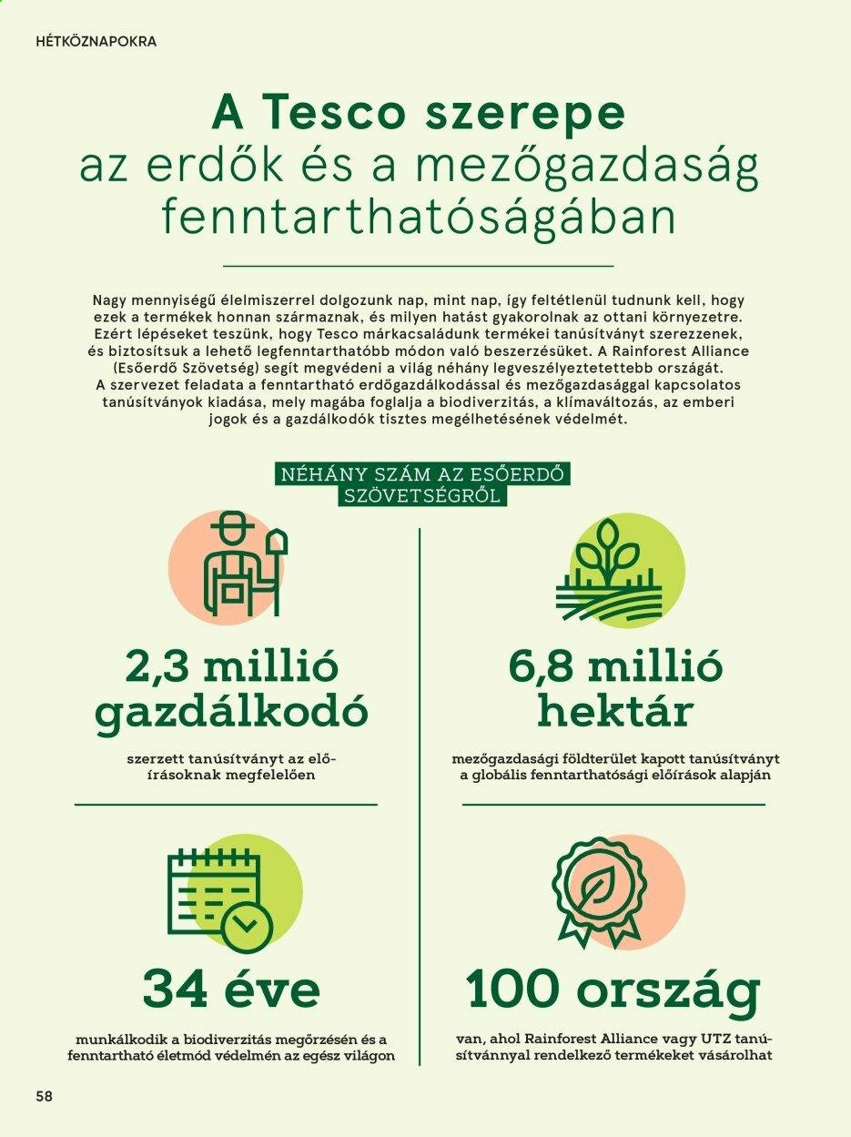 TESCO akciós újságok. Oldal 58