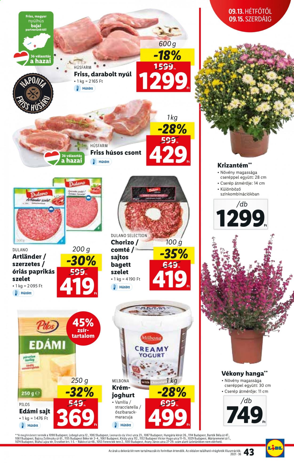 Lidl akciós újságok - 2021.09.09 - 2021.09.15. Oldal 43
