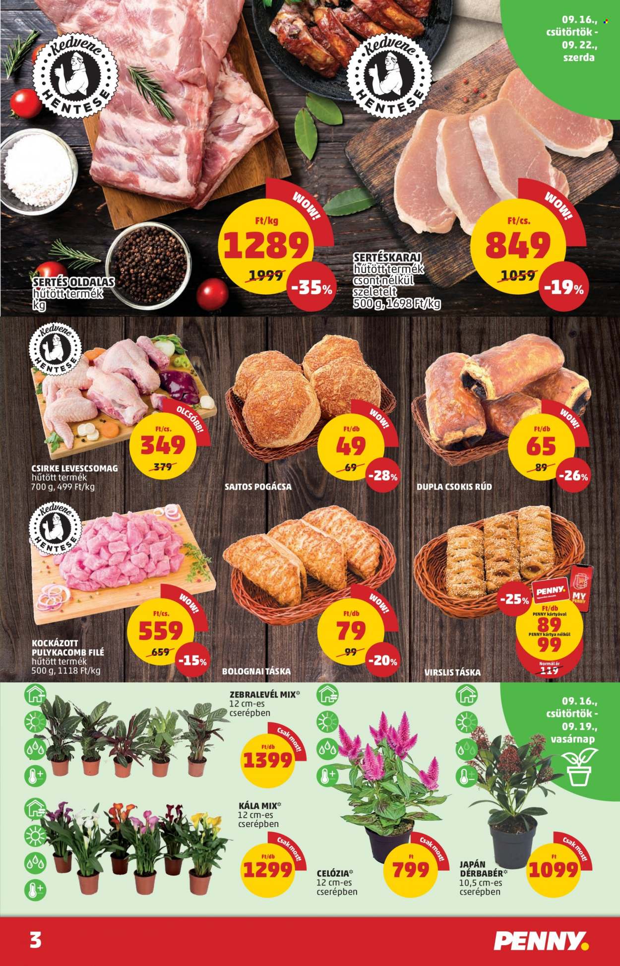 Penny Market akciós újságok - 2021.09.16 - 2021.09.22. Oldal 3