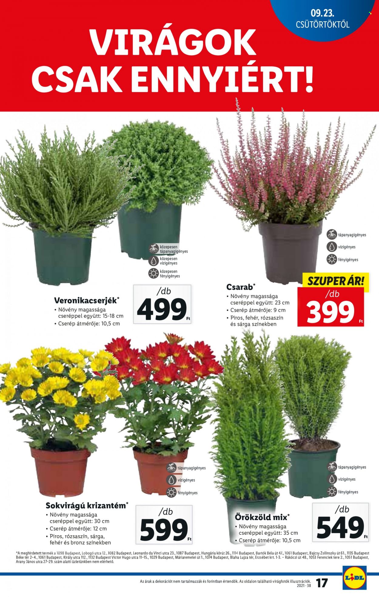 Lidl akciós újságok - 2021.09.23 - 2021.09.29. Oldal 17