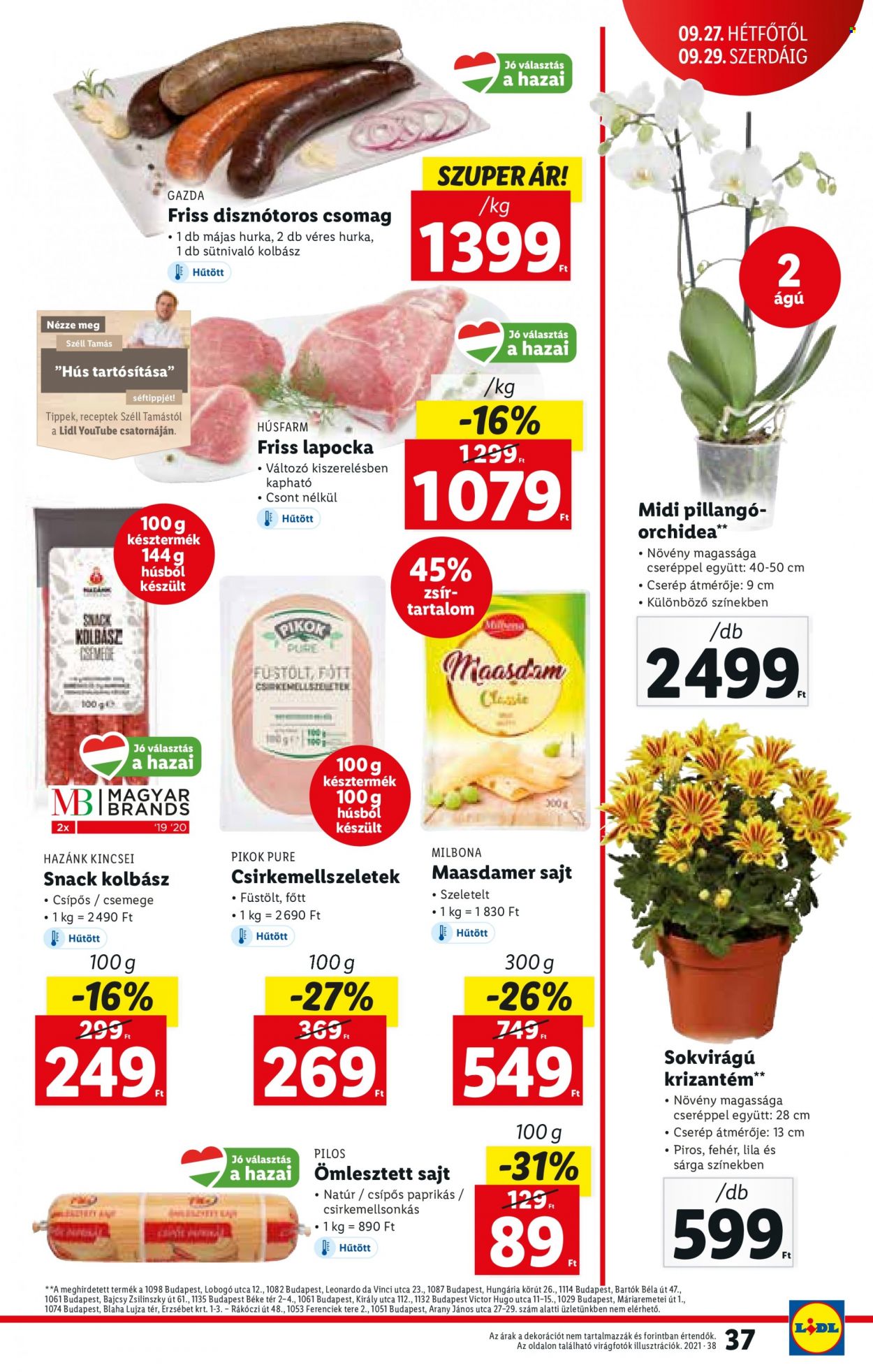 Lidl akciós újságok - 2021.09.23 - 2021.09.29. Oldal 37