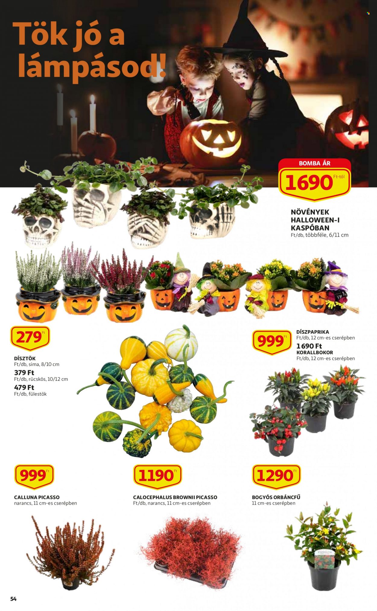 Auchan akciós újságok - 2021.10.07 - 2021.10.13. Oldal 54