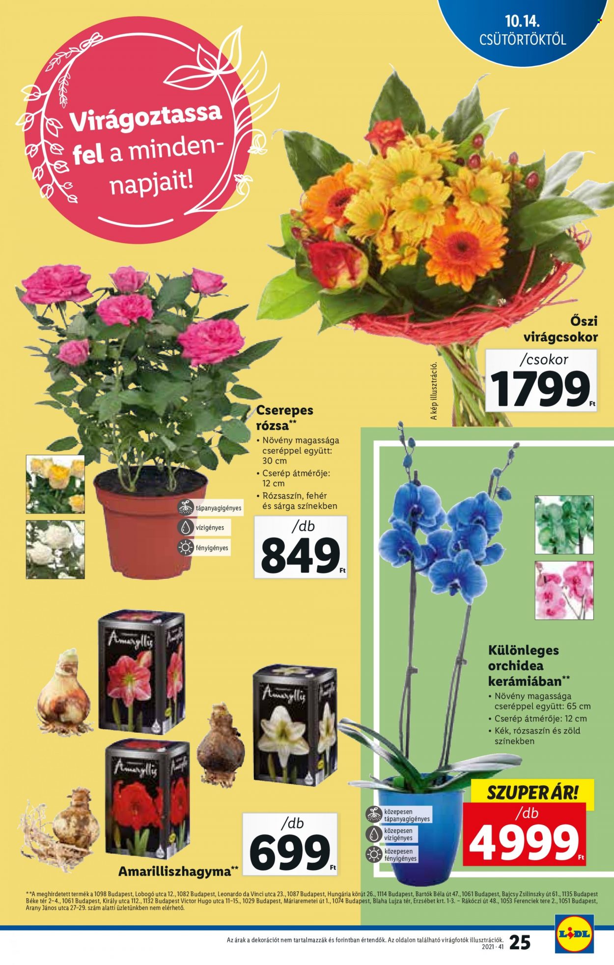 Lidl akciós újságok - 2021.10.14 - 2021.10.20. Oldal 25