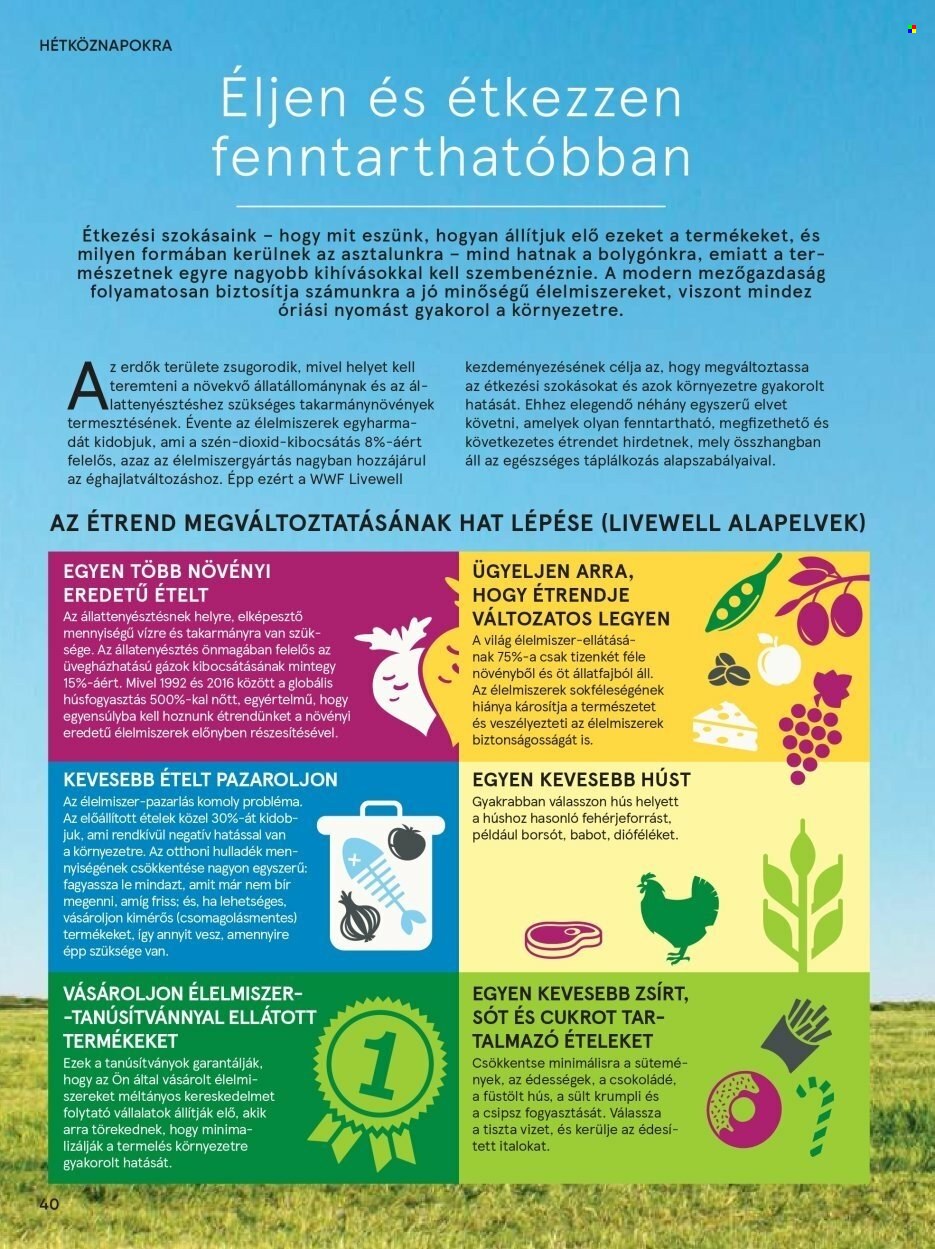 TESCO akciós újságok. Oldal 40