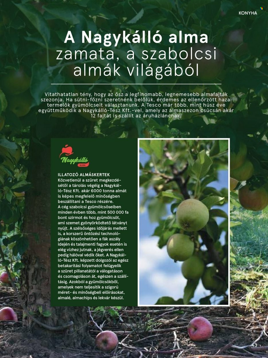 TESCO akciós újságok. Oldal 43
