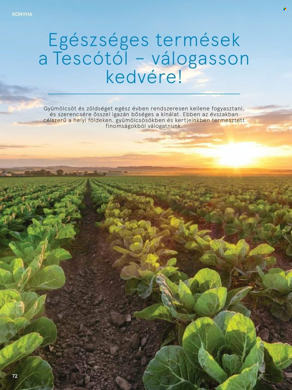 TESCO akciós újságok. Oldal 72