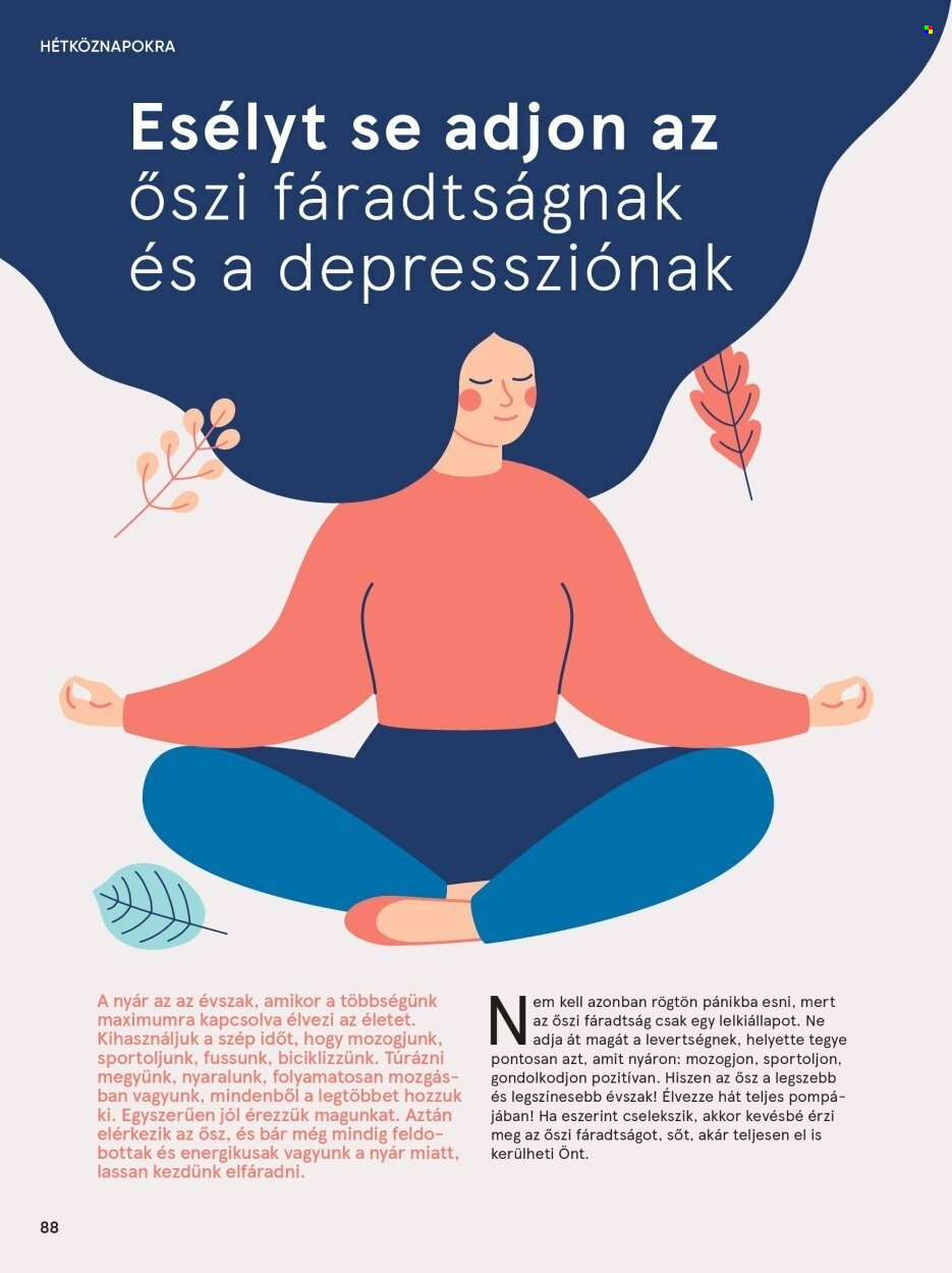 TESCO akciós újságok. Oldal 88