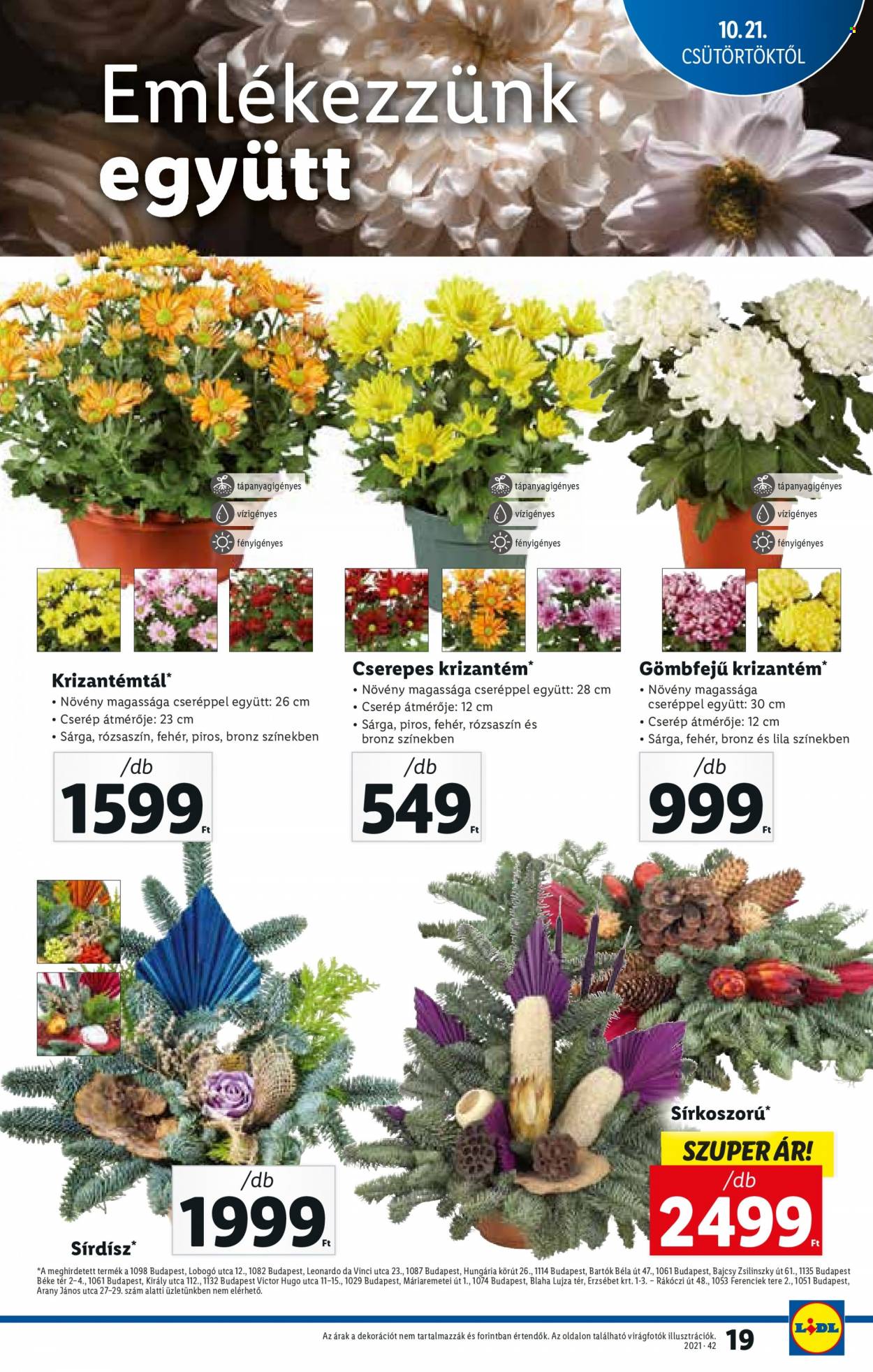 Lidl akciós újságok - 2021.10.21 - 2021.10.27. Oldal 19