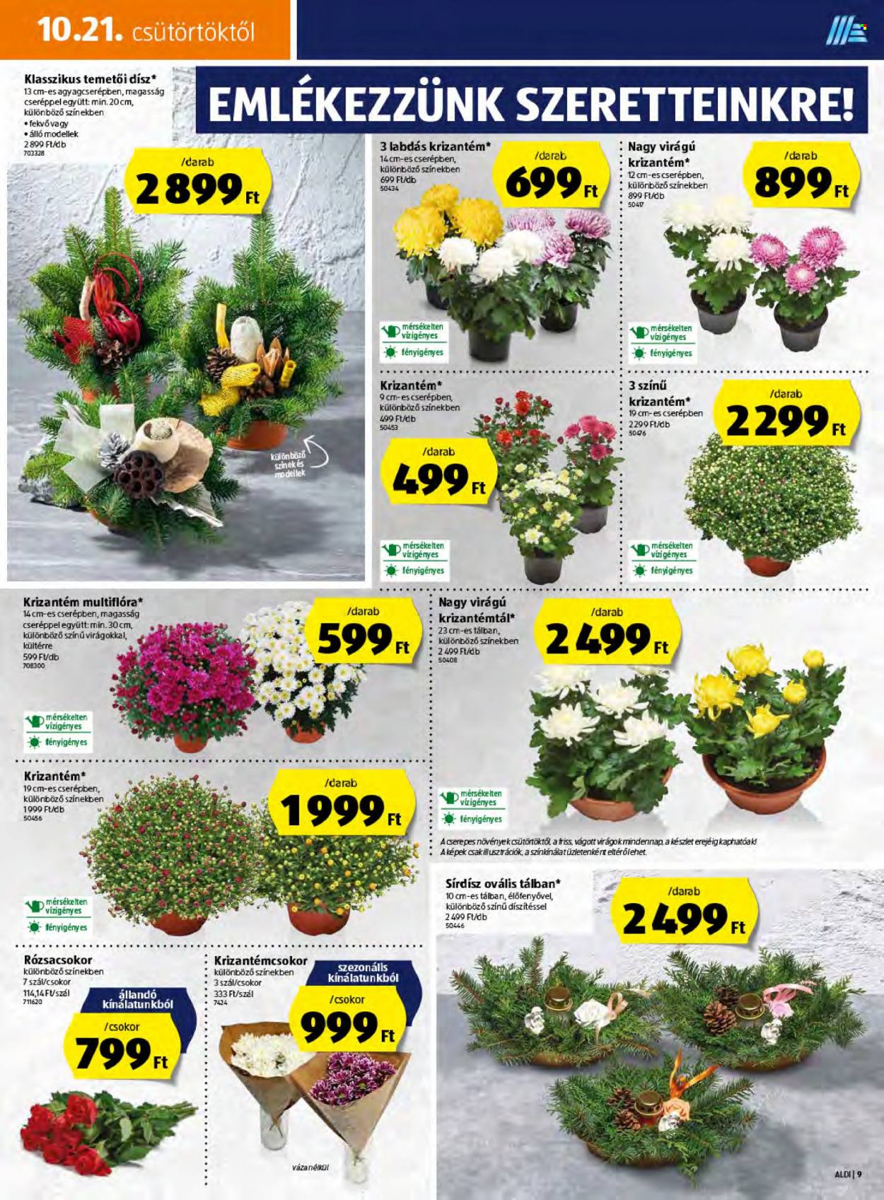 Aldi akciós újságok - 2021.10.21 - 2021.10.27. Oldal 9