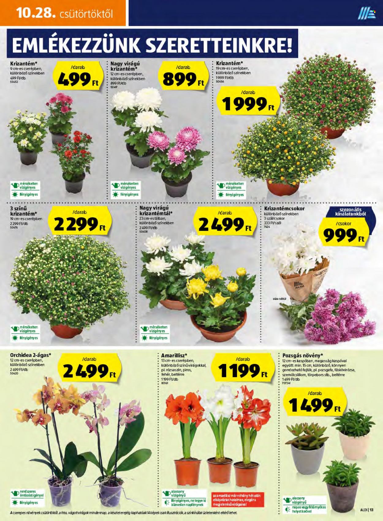 Aldi akciós újságok - 2021.10.28 - 2021.11.03. Oldal 13