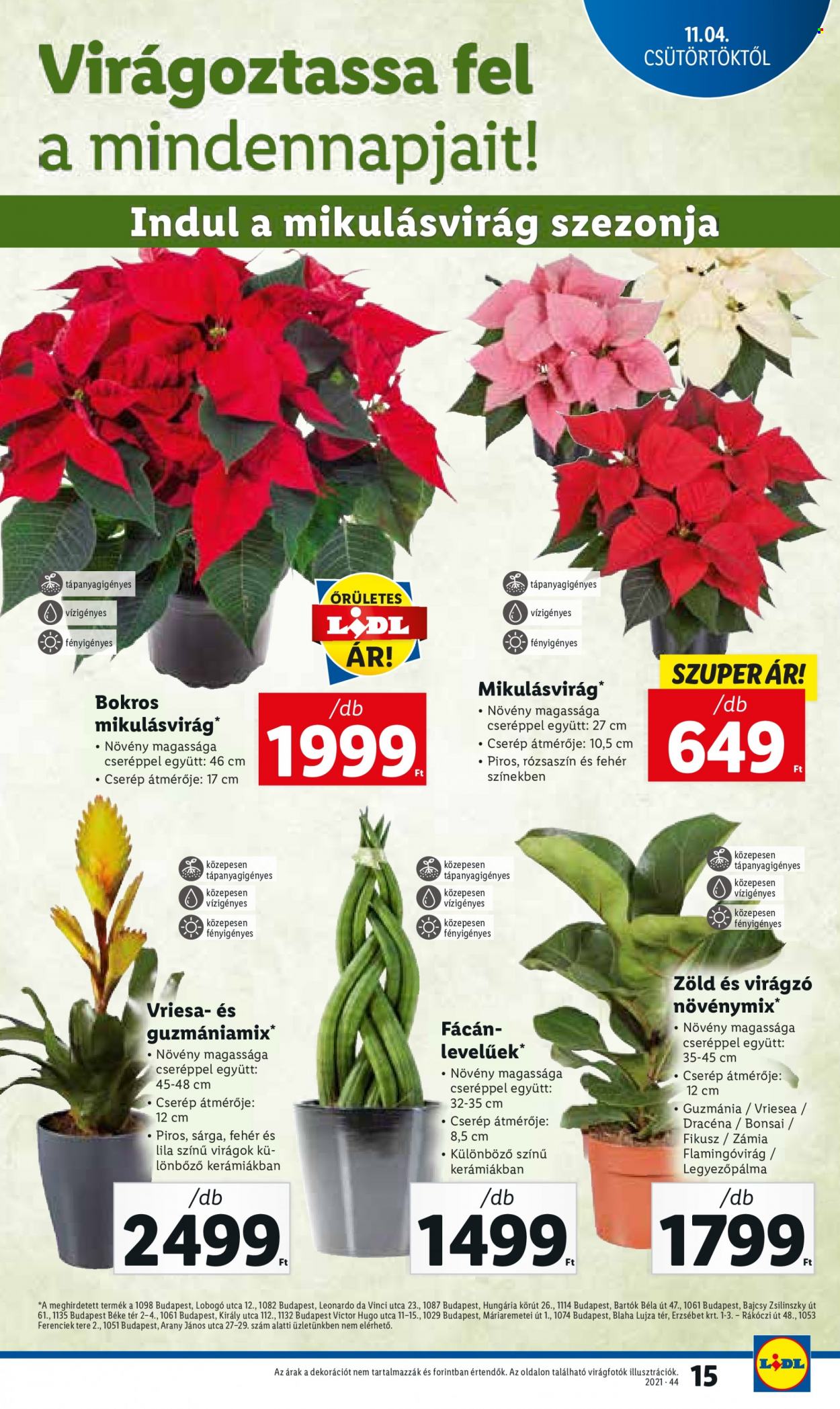 Lidl akciós újságok - 2021.11.04 - 2021.11.10. Oldal 15