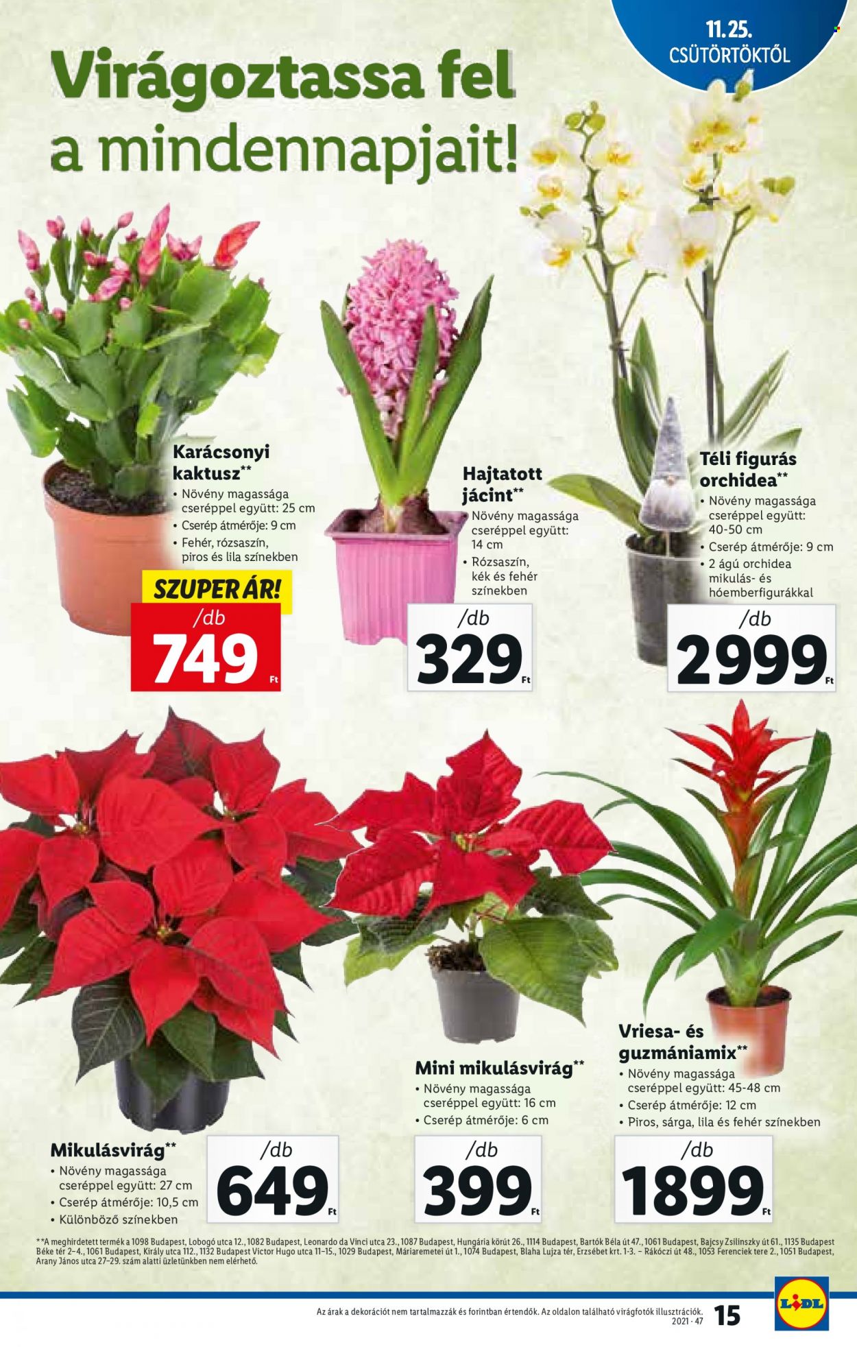 Lidl akciós újságok - 2021.11.25 - 2021.12.01. Oldal 15