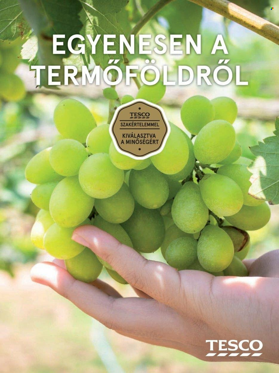 TESCO akciós újságok - 2021.11.19 - 2022.02.28. Oldal 79