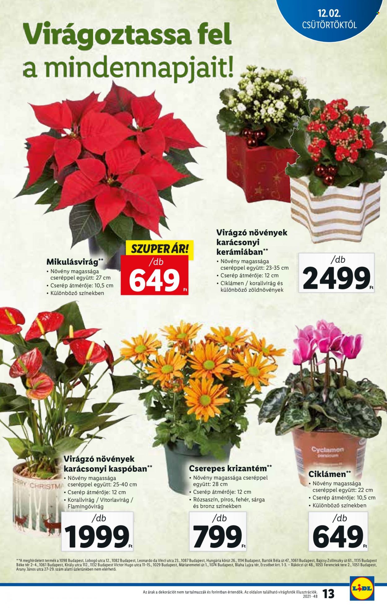 Lidl akciós újságok - 2021.12.02 - 2021.12.08. Oldal 13