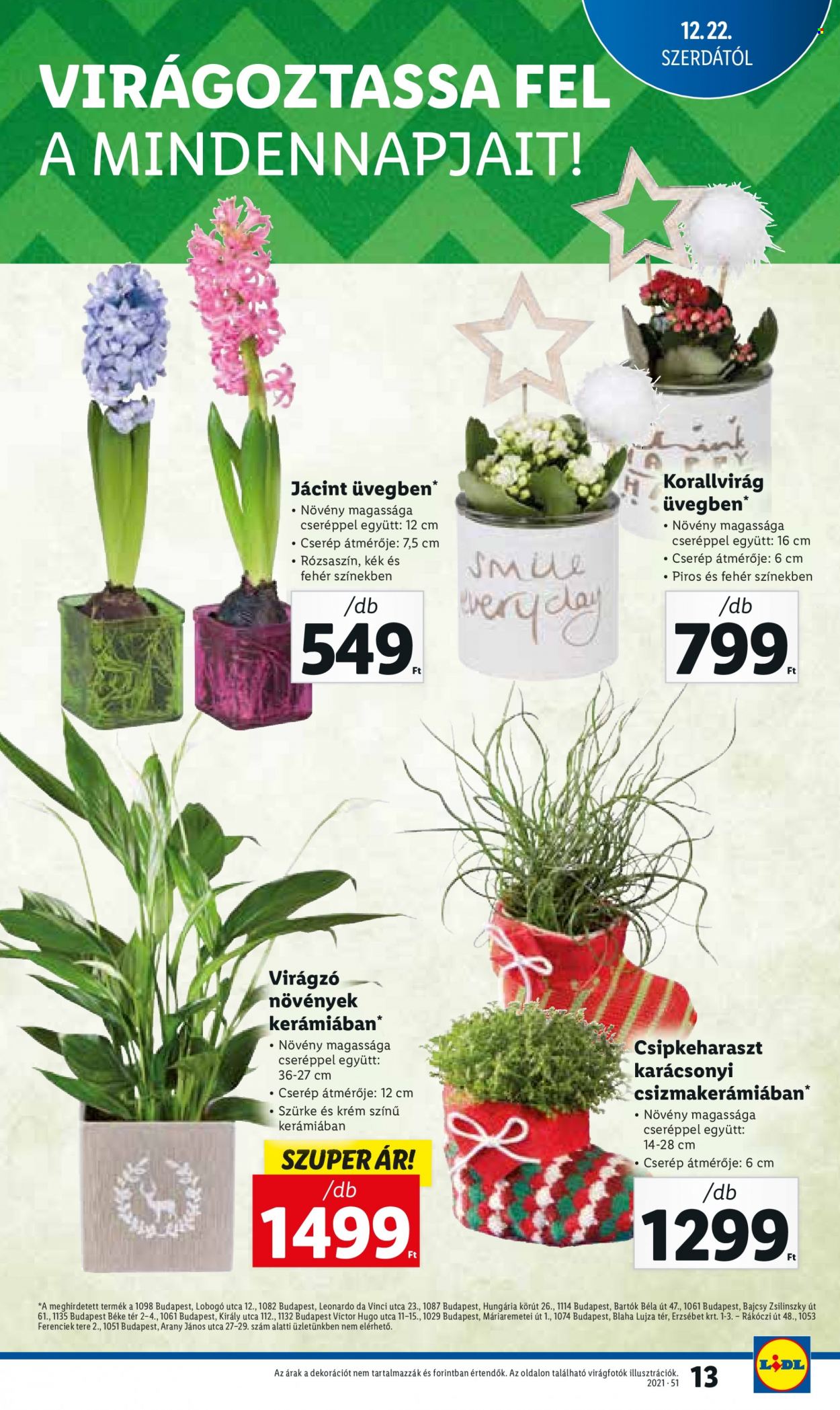 Lidl akciós újságok - 2021.12.22 - 2021.12.24. Oldal 13