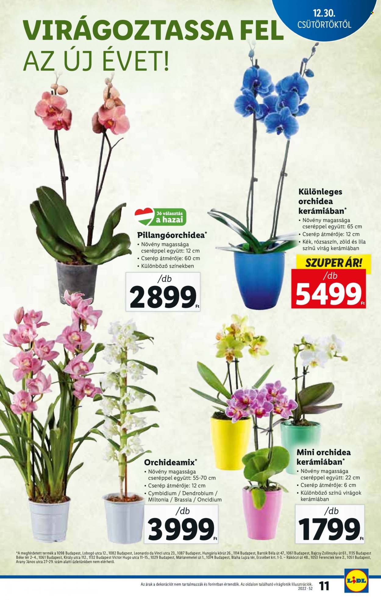 Lidl akciós újságok - 2021.12.30 - 2022.01.05. Oldal 11