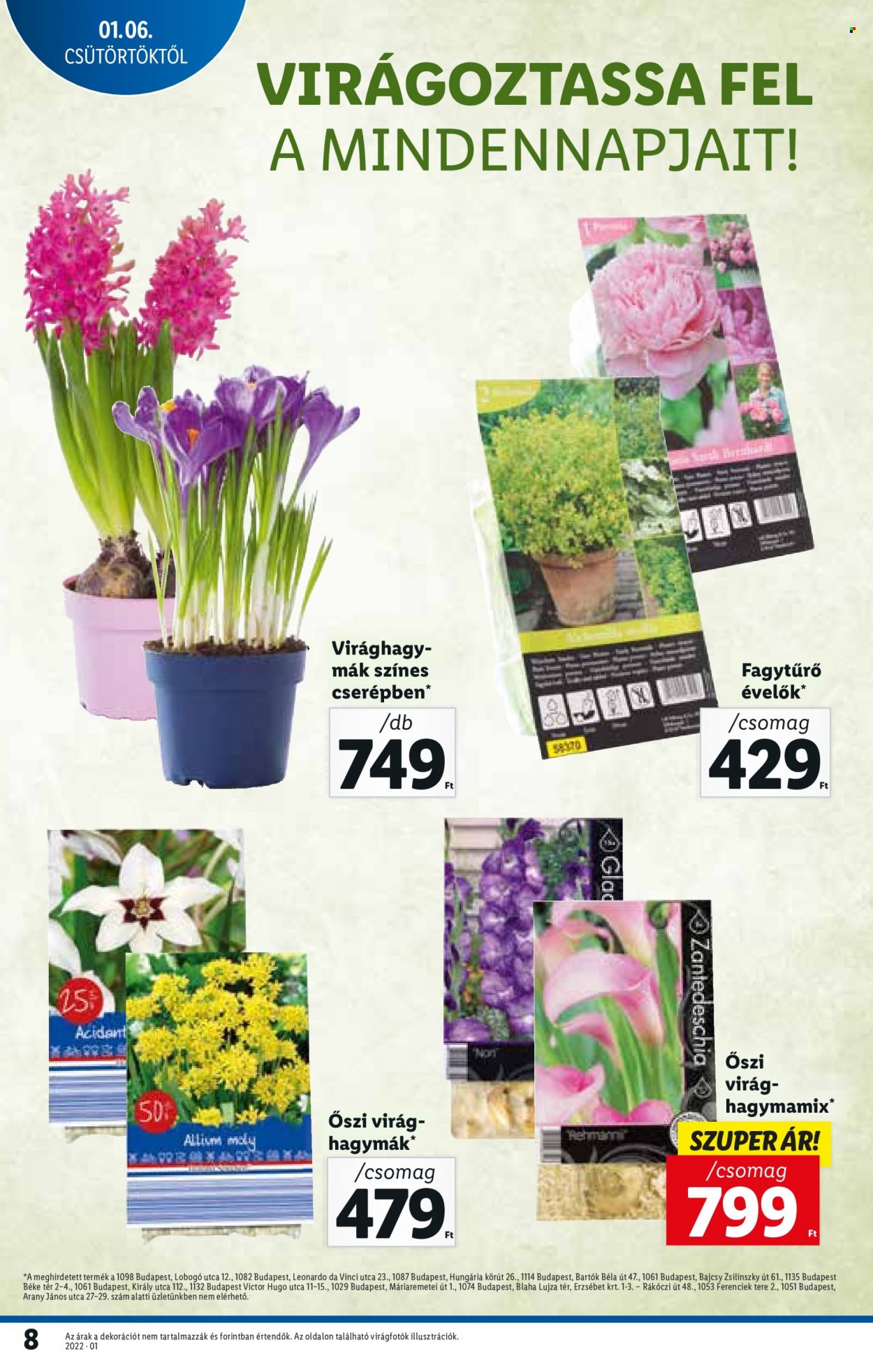 Lidl akciós újságok - 2022.01.06 - 2022.01.12. Oldal 8