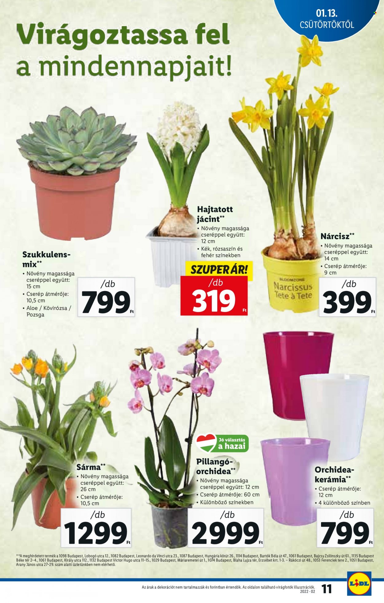 Lidl akciós újságok - 2022.01.13 - 2022.01.19. Oldal 11