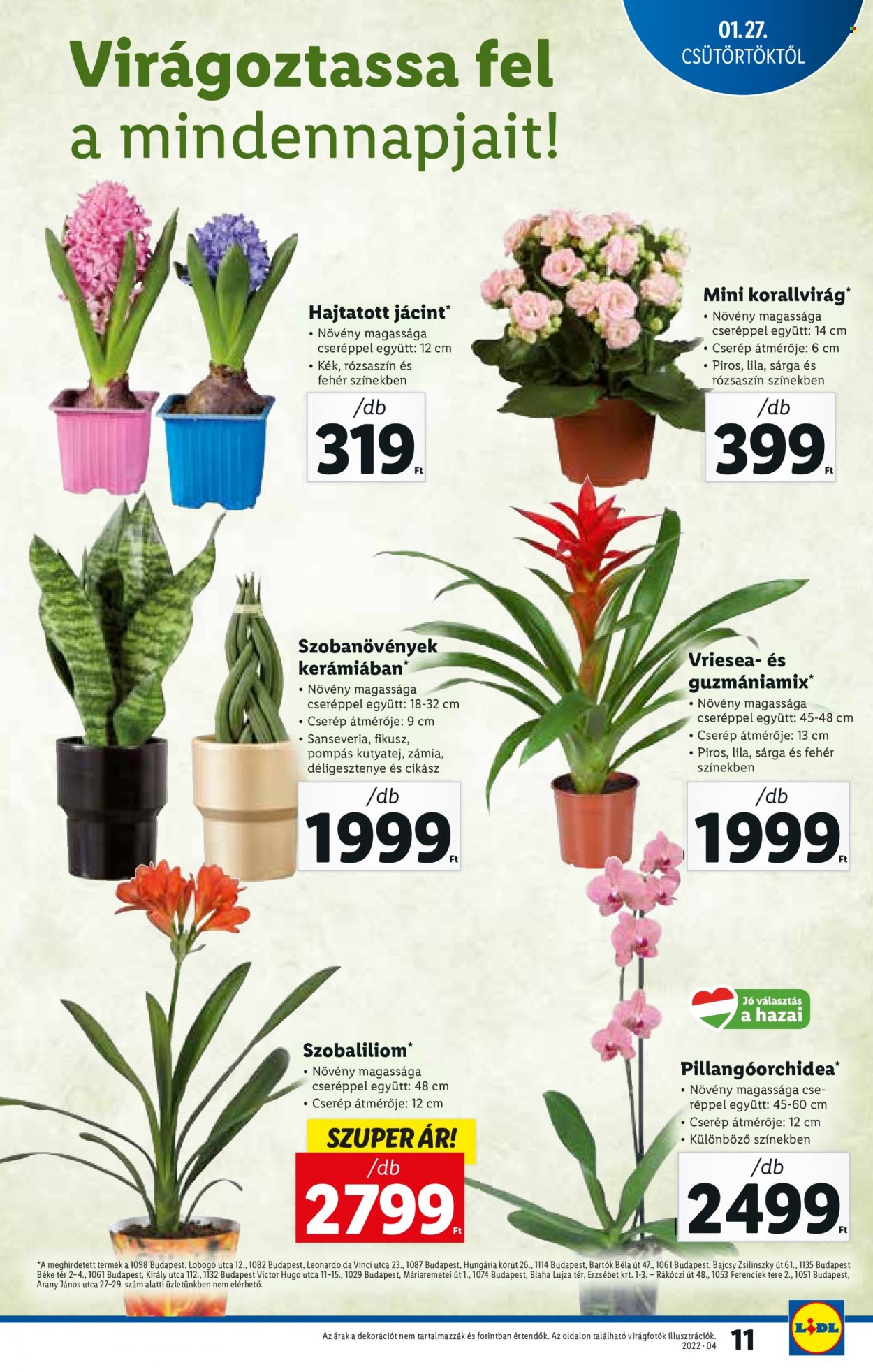 Lidl akciós újságok - 2022.01.27 - 2022.02.02. Oldal 11