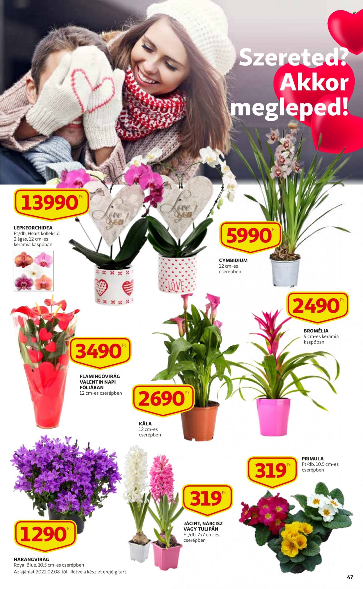 Auchan akciós újságok - 2022.02.03 - 2022.02.16. Oldal 47