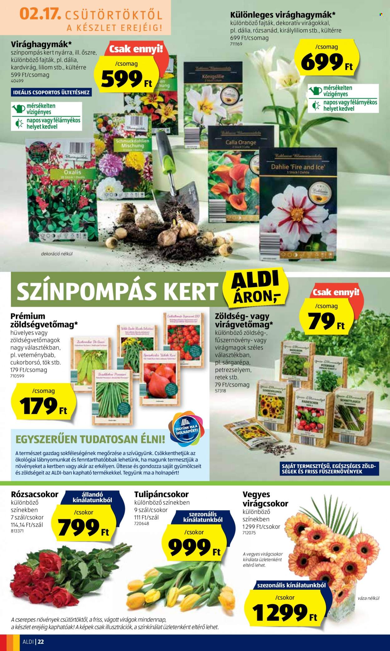 Aldi akciós újságok - 2022.02.17 - 2022.02.23. Oldal 22