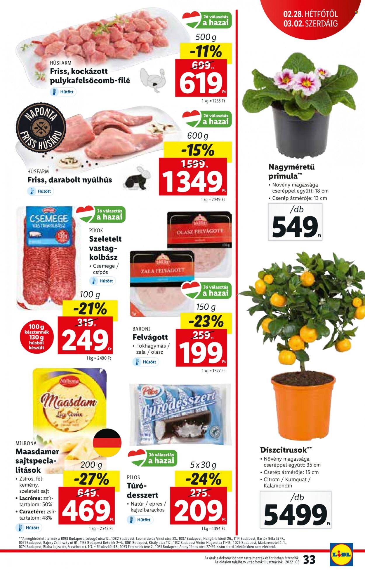 Lidl akciós újságok - 2022.02.24 - 2022.03.02. Oldal 33