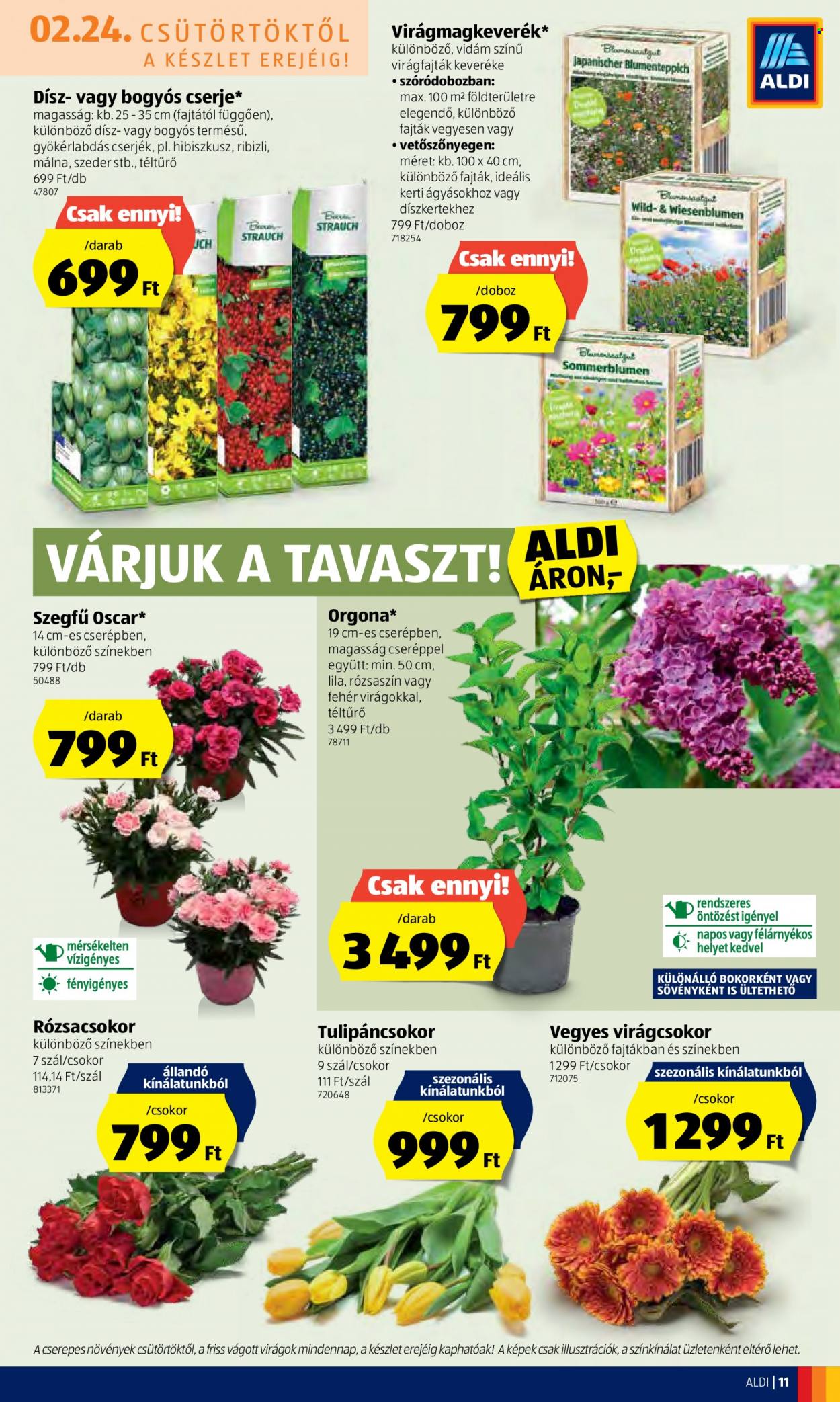 Aldi akciós újságok - 2022.02.24 - 2022.03.02. Oldal 11