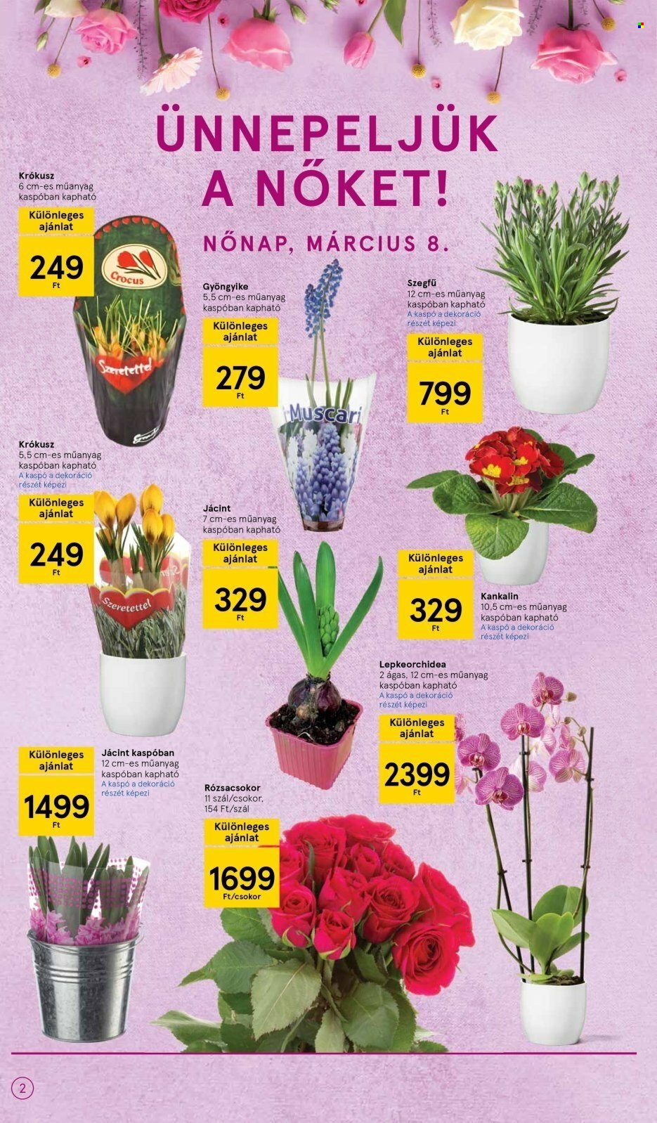 TESCO akciós újságok - 2022.03.03 - 2022.03.09. Oldal 2