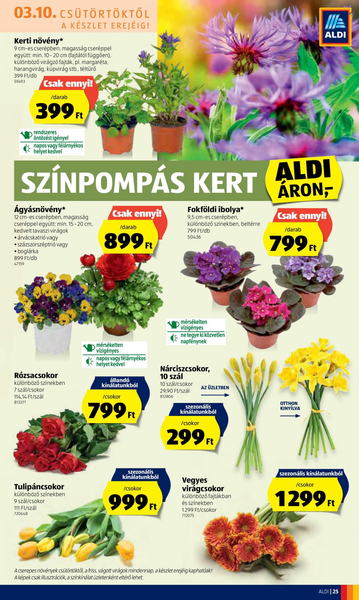 Aldi akciós újságok - 2022.03.10 - 2022.03.16. Oldal 25