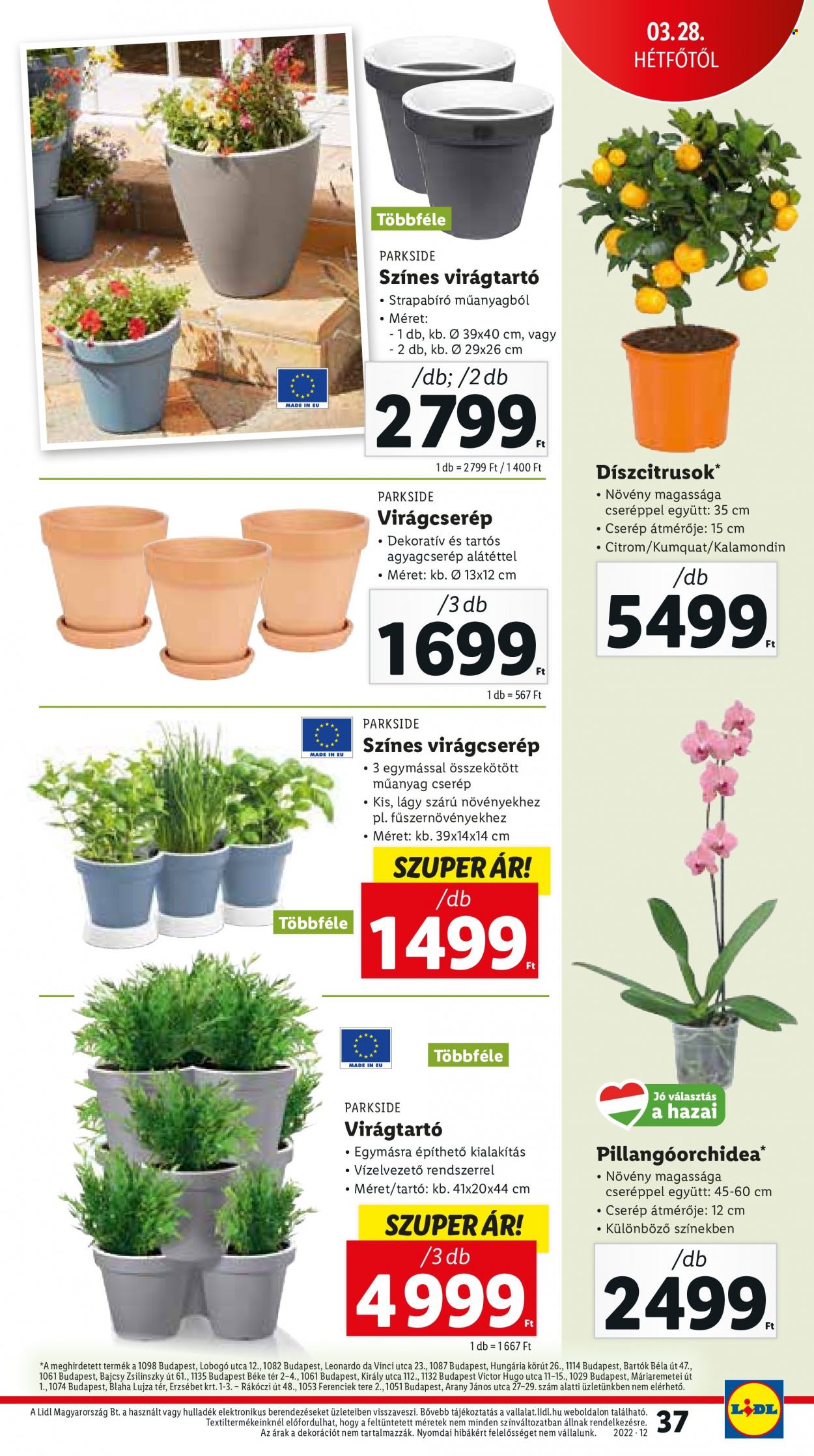 Lidl akciós újságok - 2022.03.24 - 2022.03.30. Oldal 37