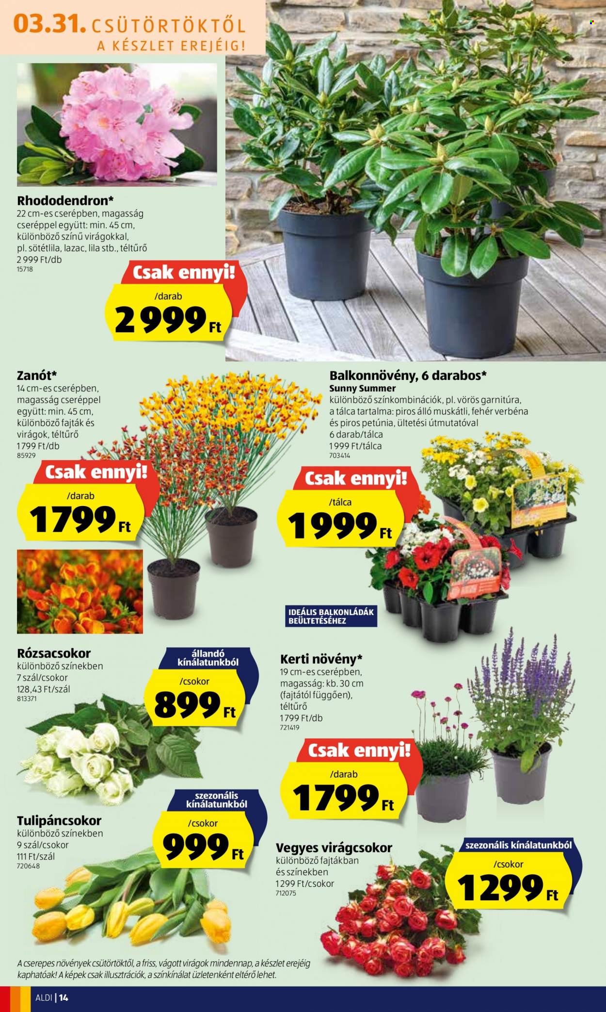 Aldi akciós újságok - 2022.03.31 - 2022.04.06. Oldal 14