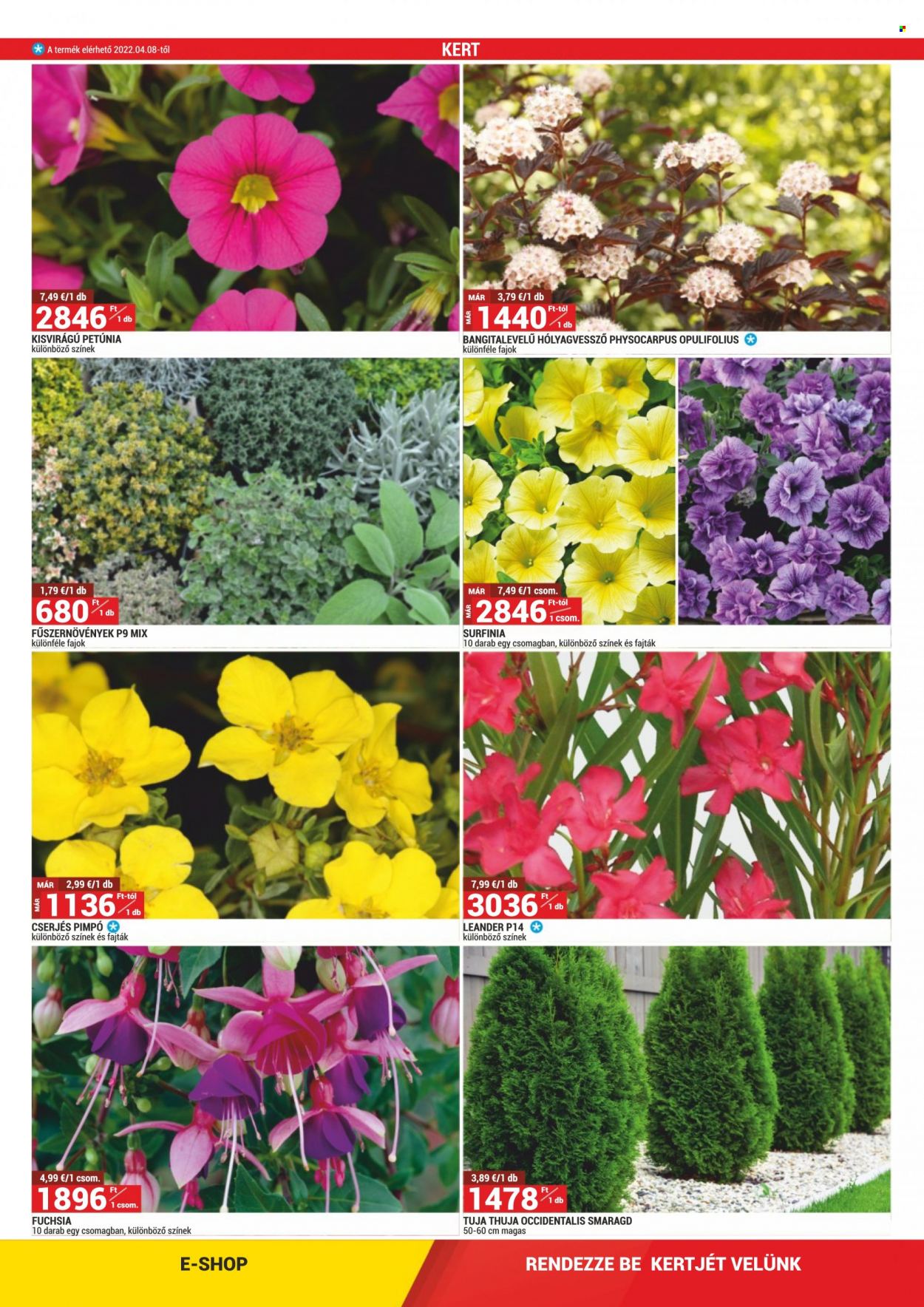Merkury Market akciós újságok - 2022.04.01 - 2022.04.30. Oldal 2