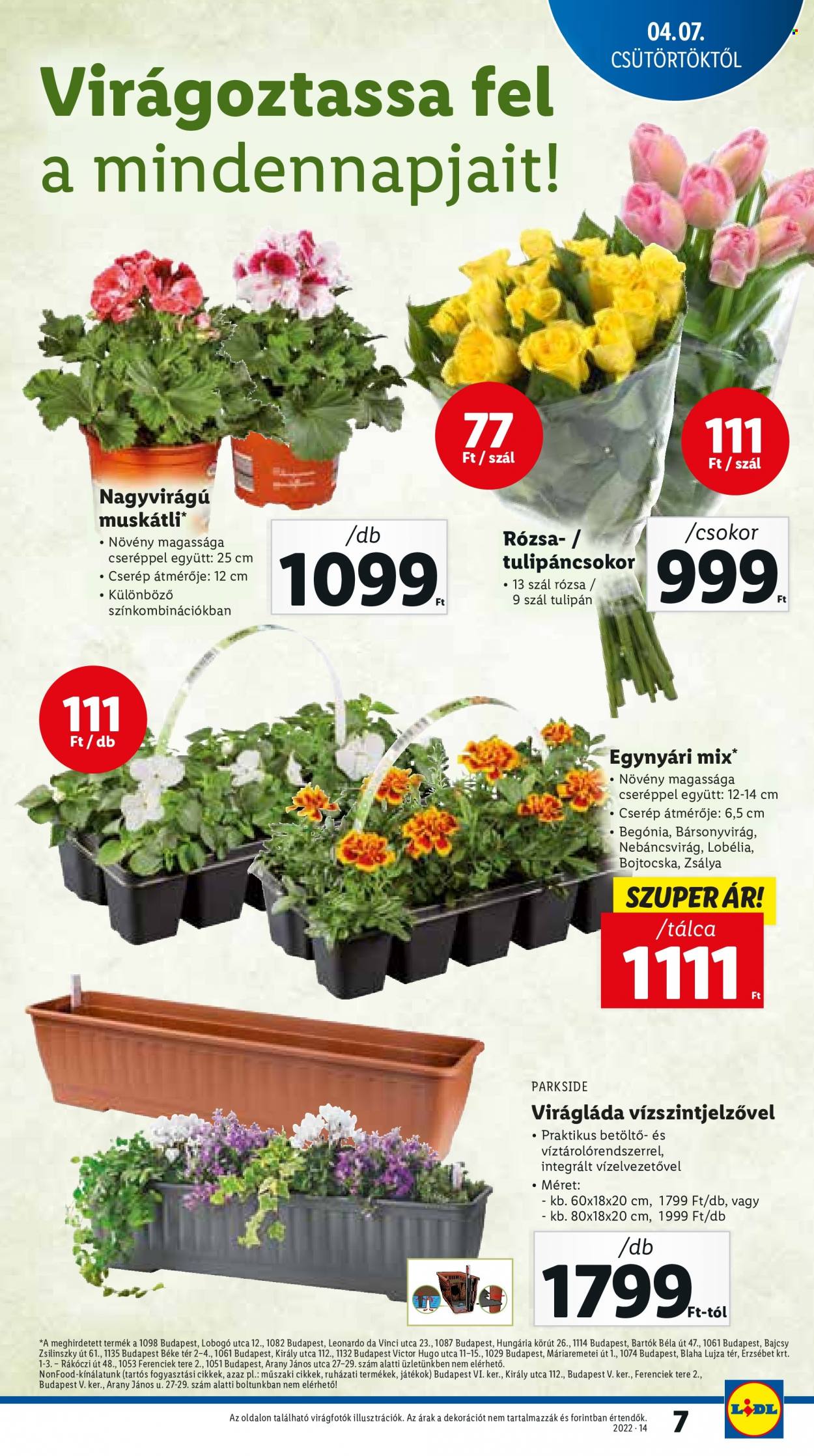 Lidl akciós újságok - 2022.04.07 - 2022.04.12. Oldal 7