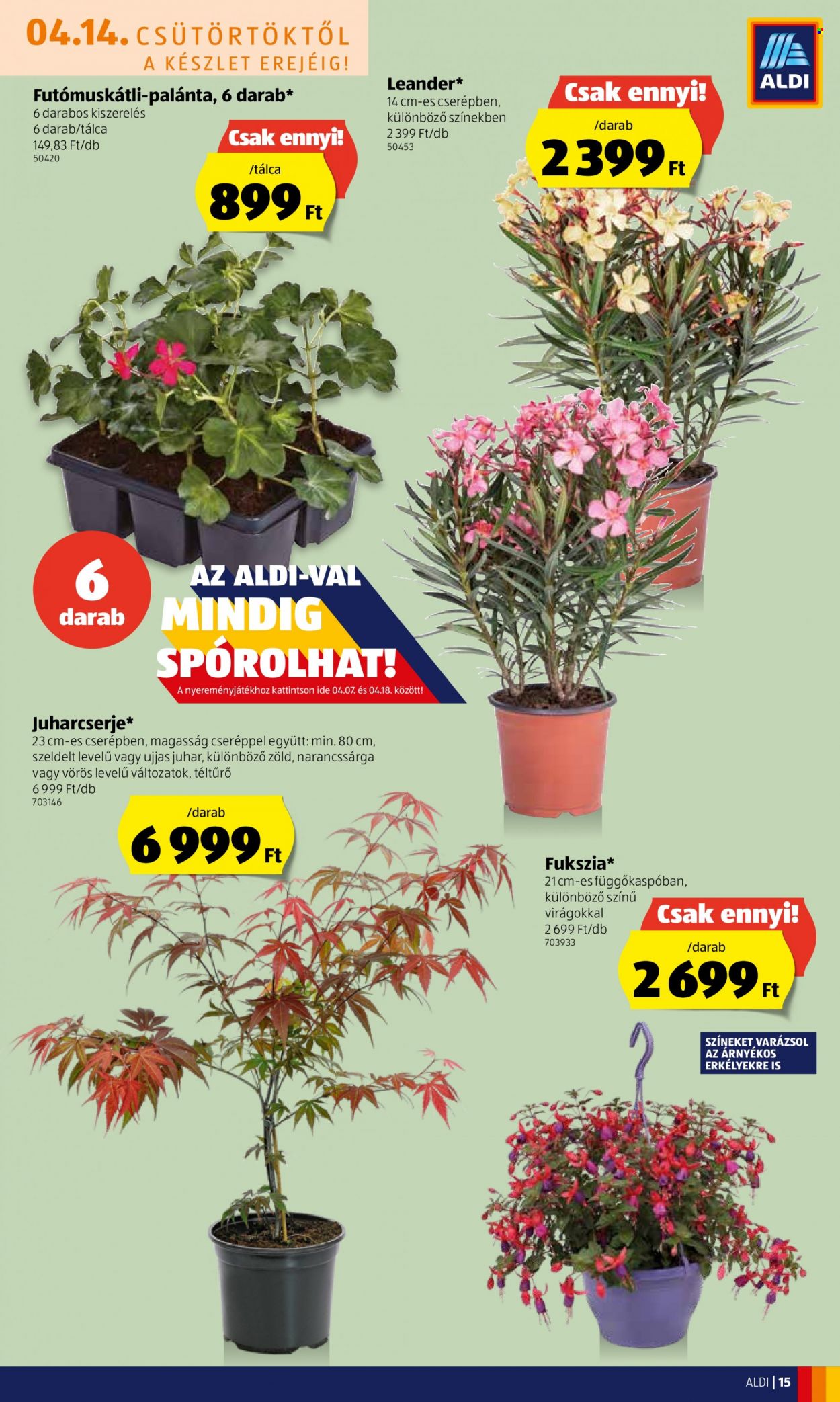 Aldi akciós újságok - 2022.04.14 - 2022.04.20. Oldal 15