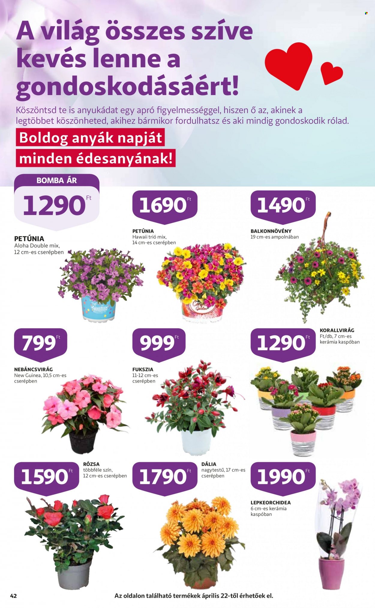 Auchan akciós újságok - 2022.04.21 - 2022.04.27. Oldal 42