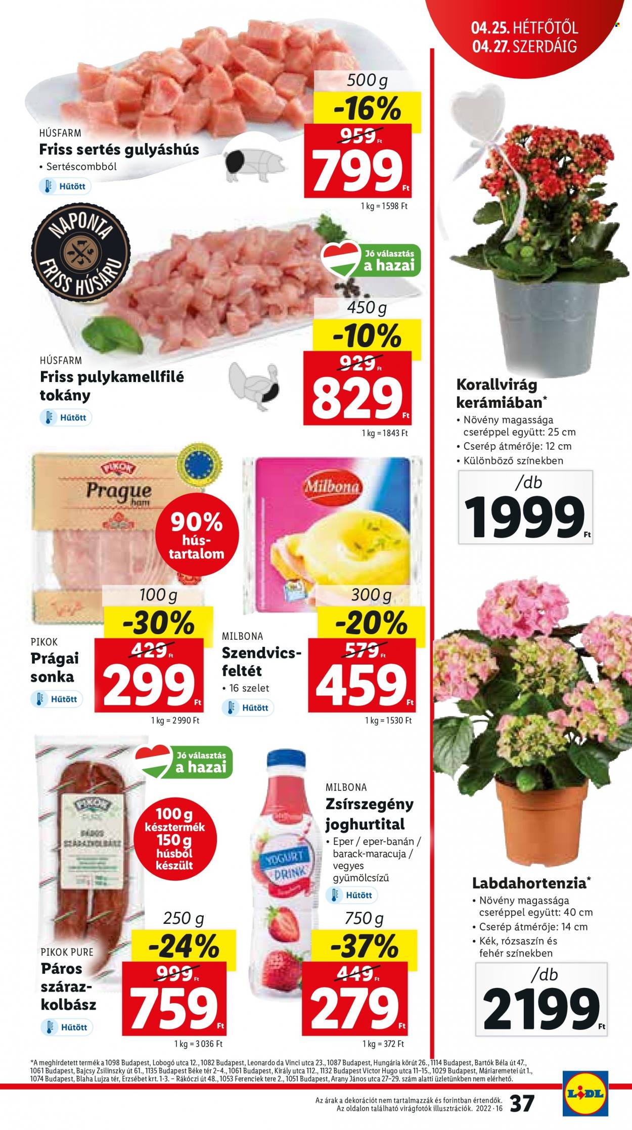 Lidl akciós újságok - 2022.04.21 - 2022.04.27. Oldal 37