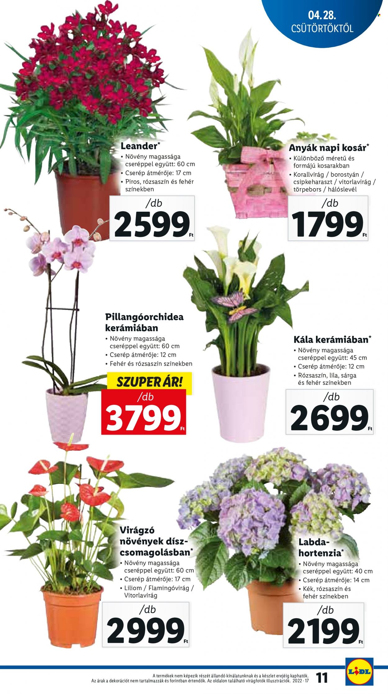 Lidl akciós újságok - 2022.04.28 - 2022.05.04. Oldal 11